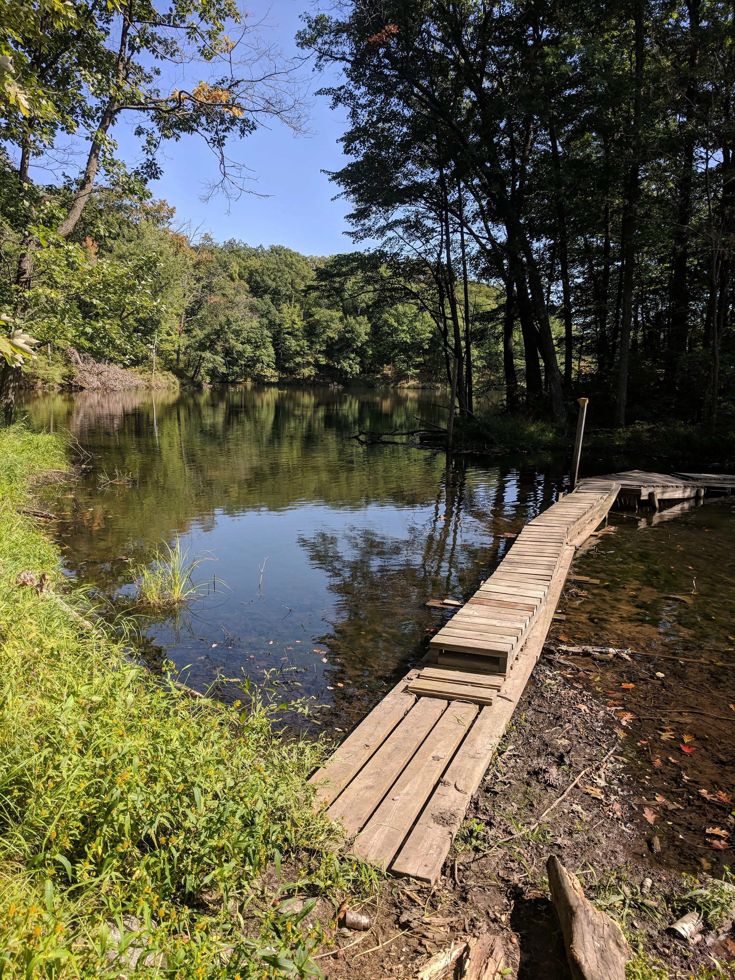 IMG_20180915_120741.jpg