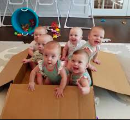 We believe the Leave-A-Baby, Take-A-Baby feature will be quite popular.
