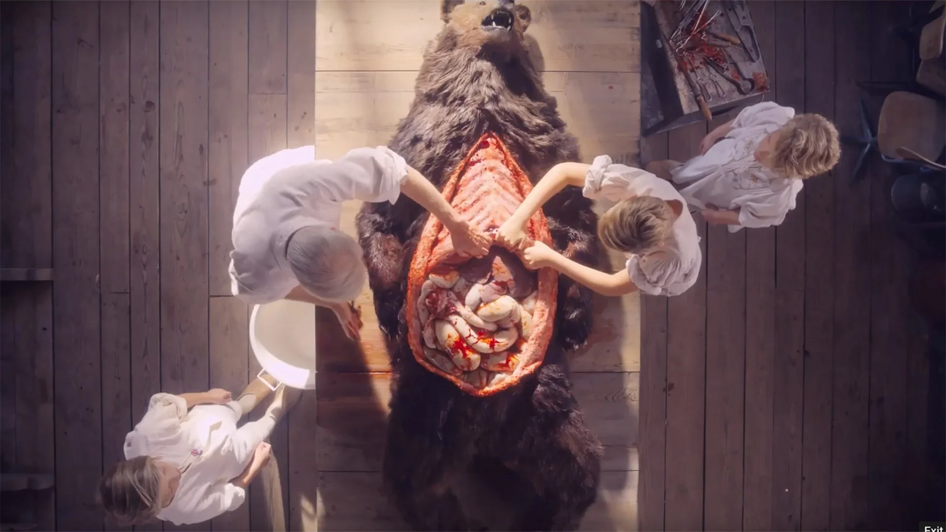 I Like to Watch | Midsommar — LITERATE APE