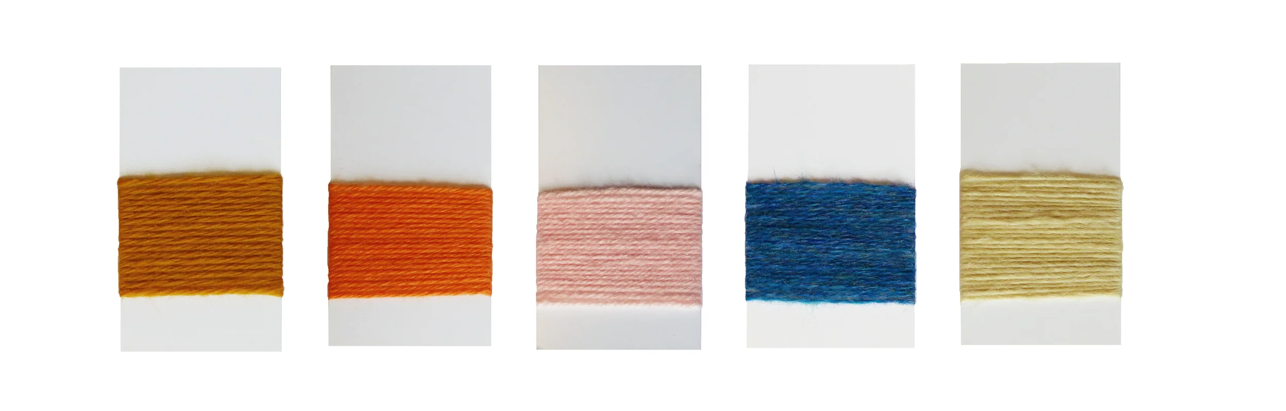 Main colors used for 'Young Writer'