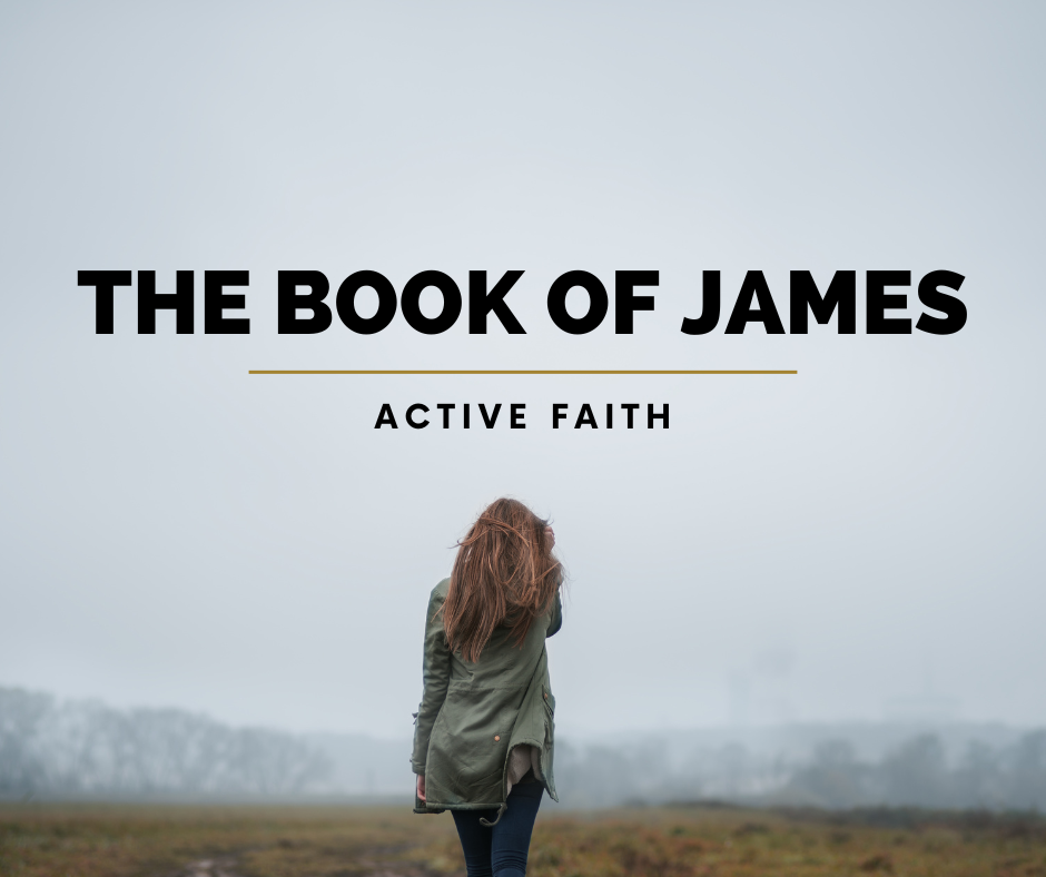 Walking Wisely - James 3:13-16  6/8/24 episode artwork