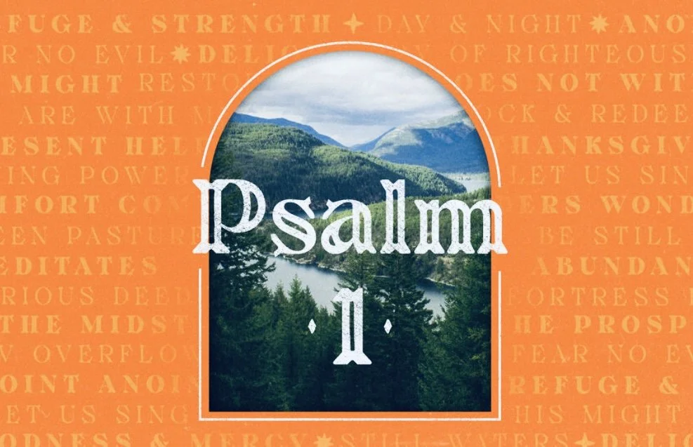 Two Paths - Psalm 1:1-3 12/29/24