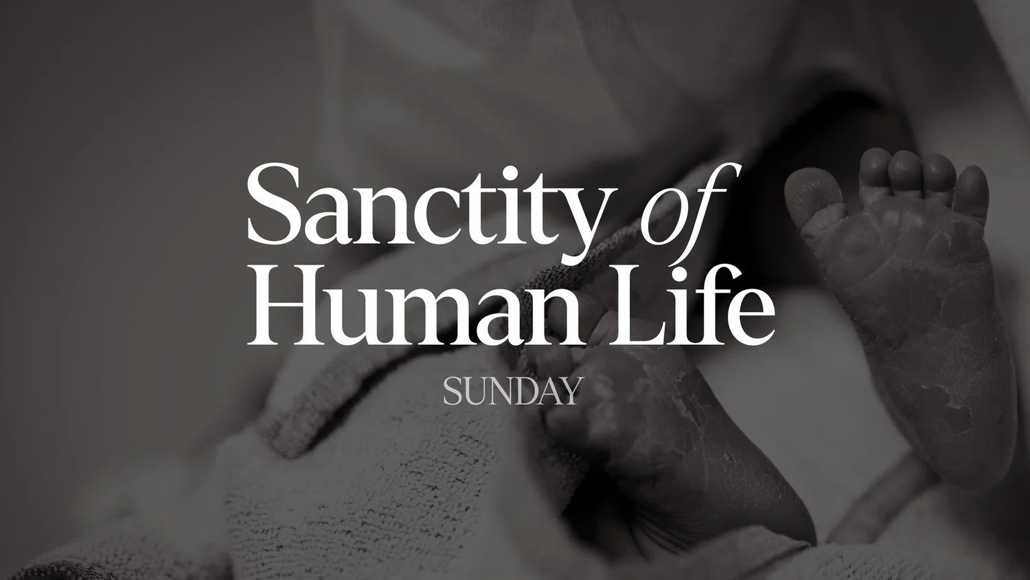 Sanctity of Human Life - In Christ Is Life  1/19/25 episode artwork