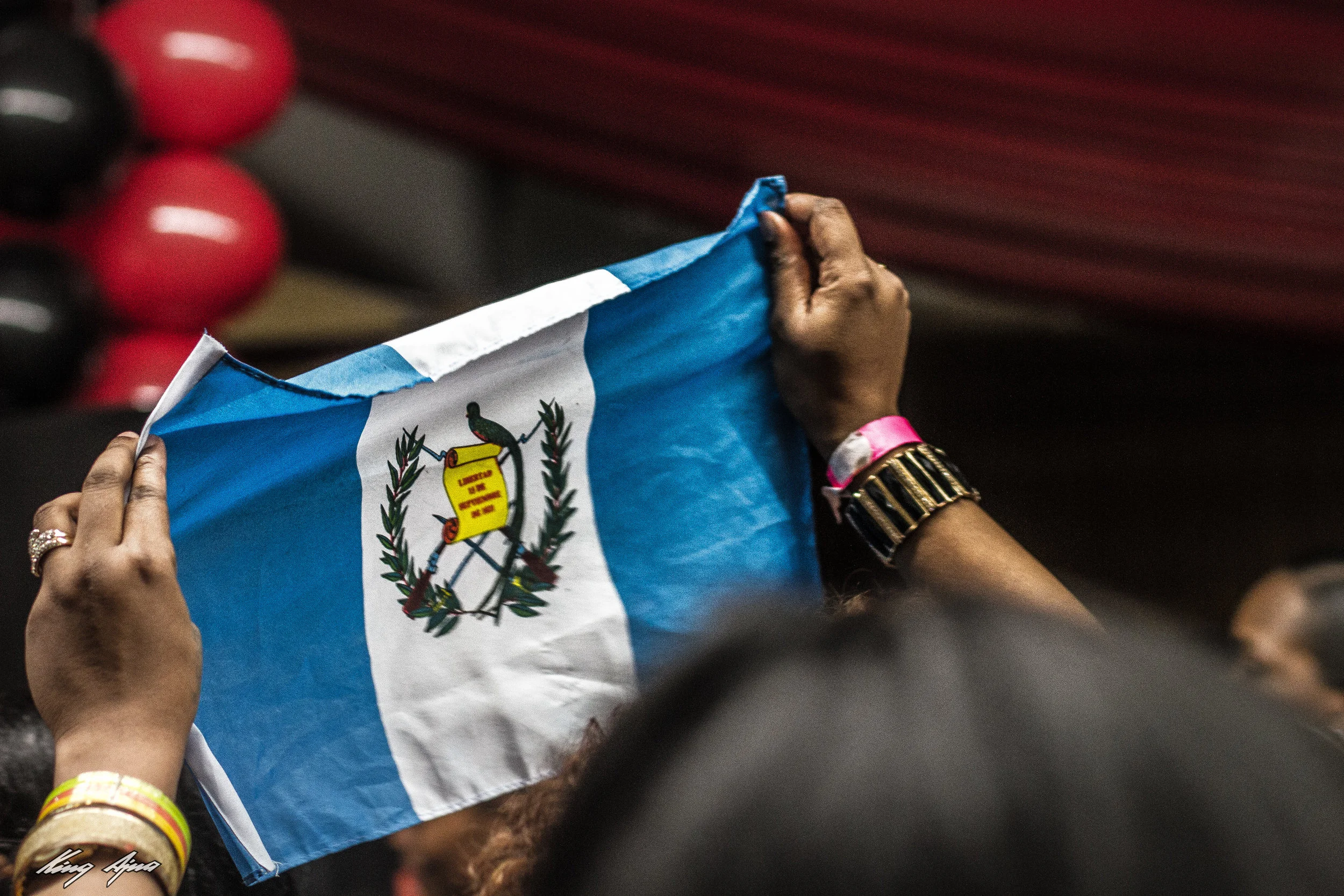 _MG_6288.jpg