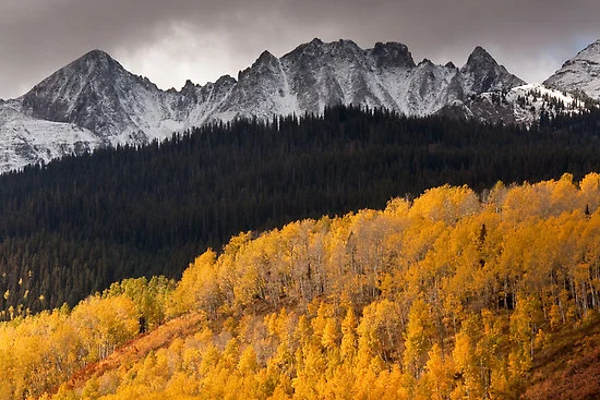 uncompahgre-national-forest.jpg