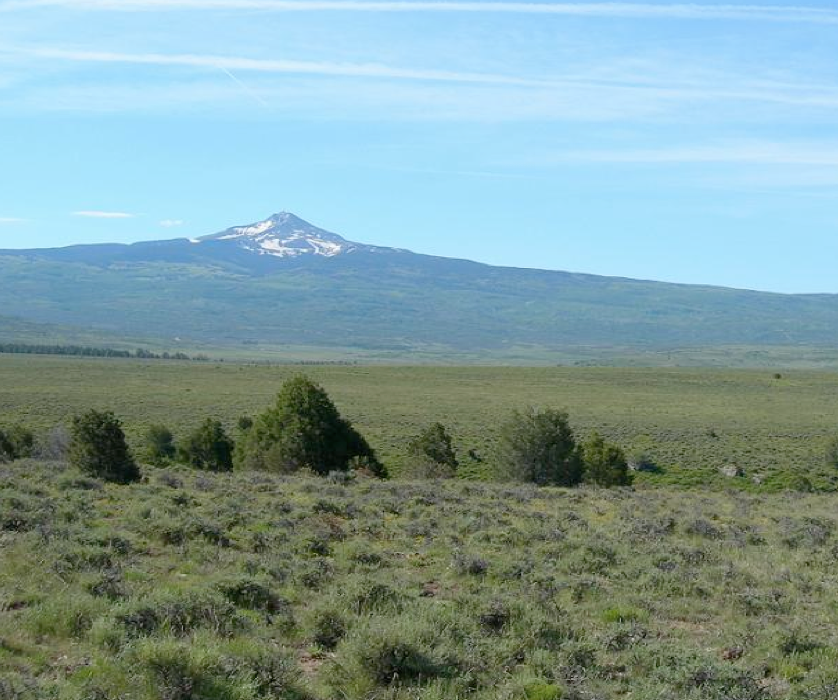 450 acres of New Beginnings Ranch were protected.