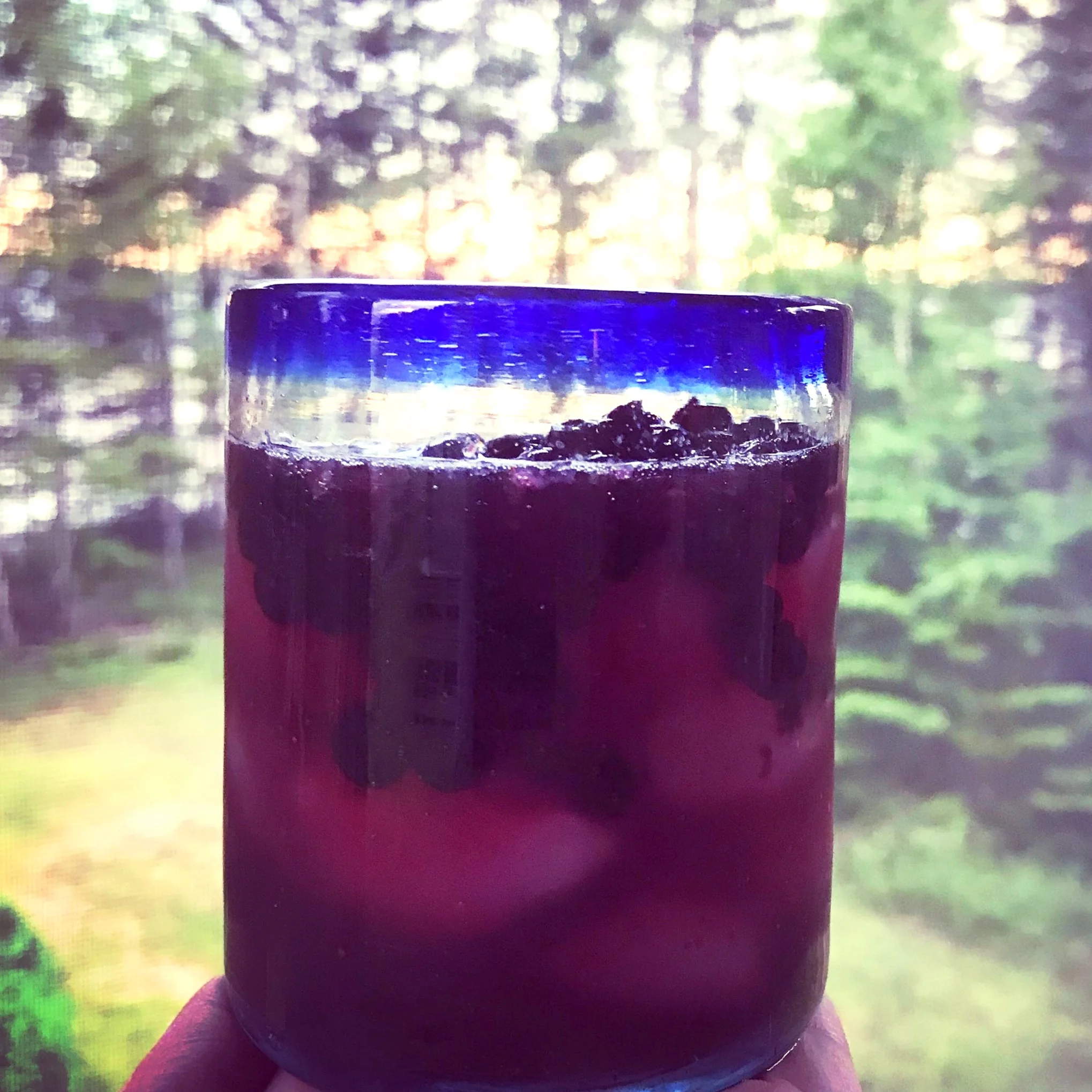 Wild Blueberry Bourbon Mint Muddle