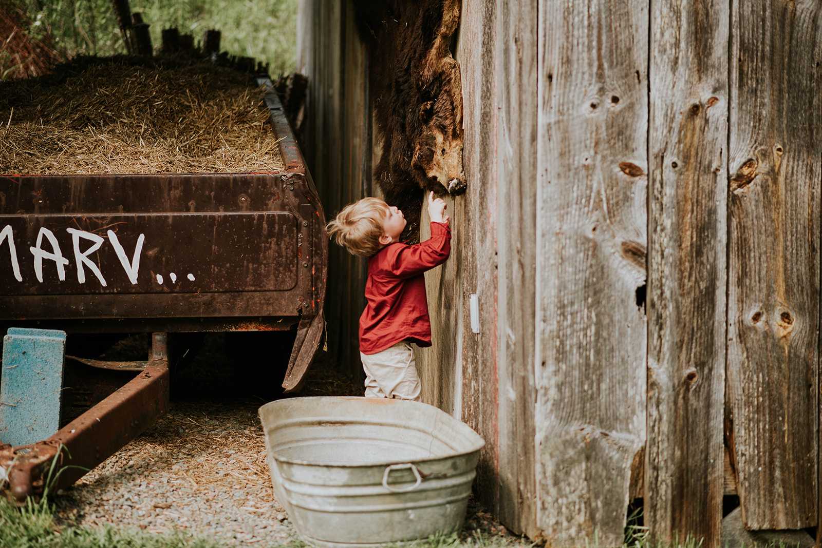 Intimate Mountain Wedding at White Fence Farm in Trade, TN