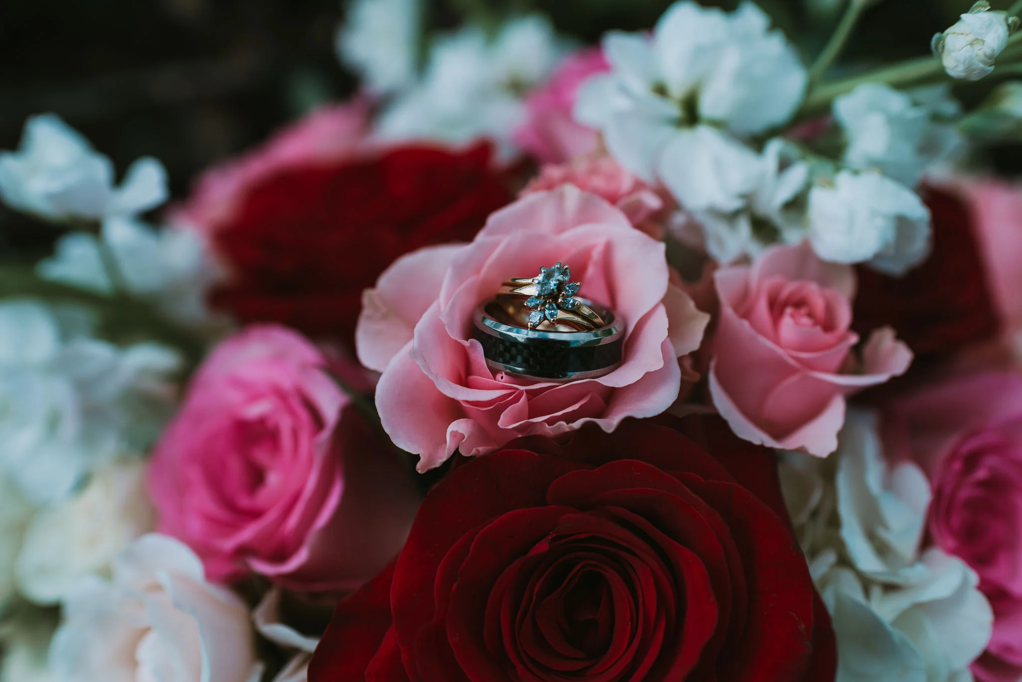 Broken J Farm Wedding In Bristol, Tennessee, Northeast Tennessee Wedding Photographer, East Tennessee Wedding Photographer, Knoxville, Tennessee Wedding Photographer