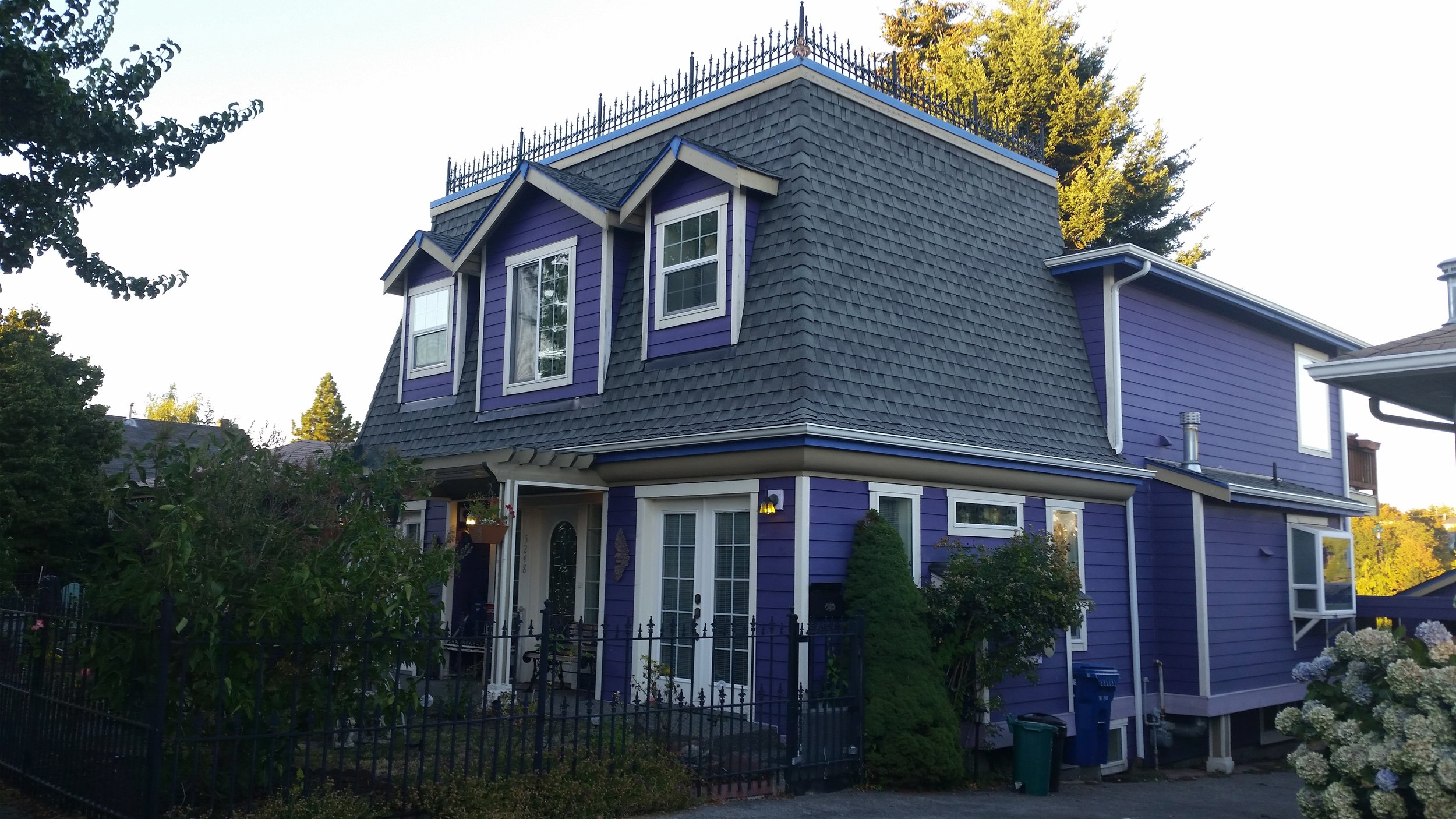 purple house 2.jpg
