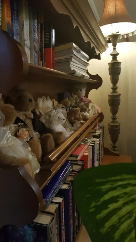 bears.jpg