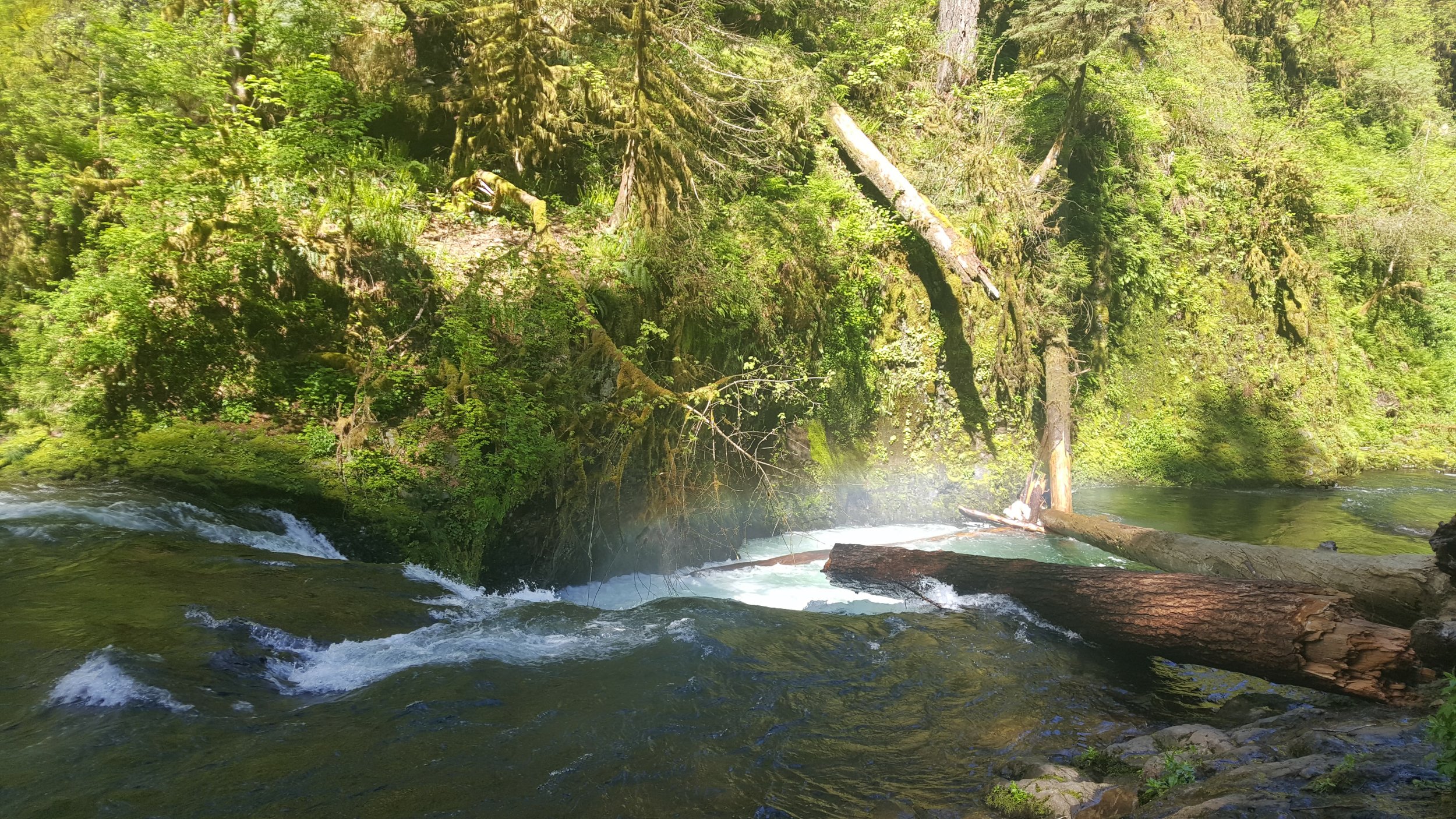 20170520_103156.jpg