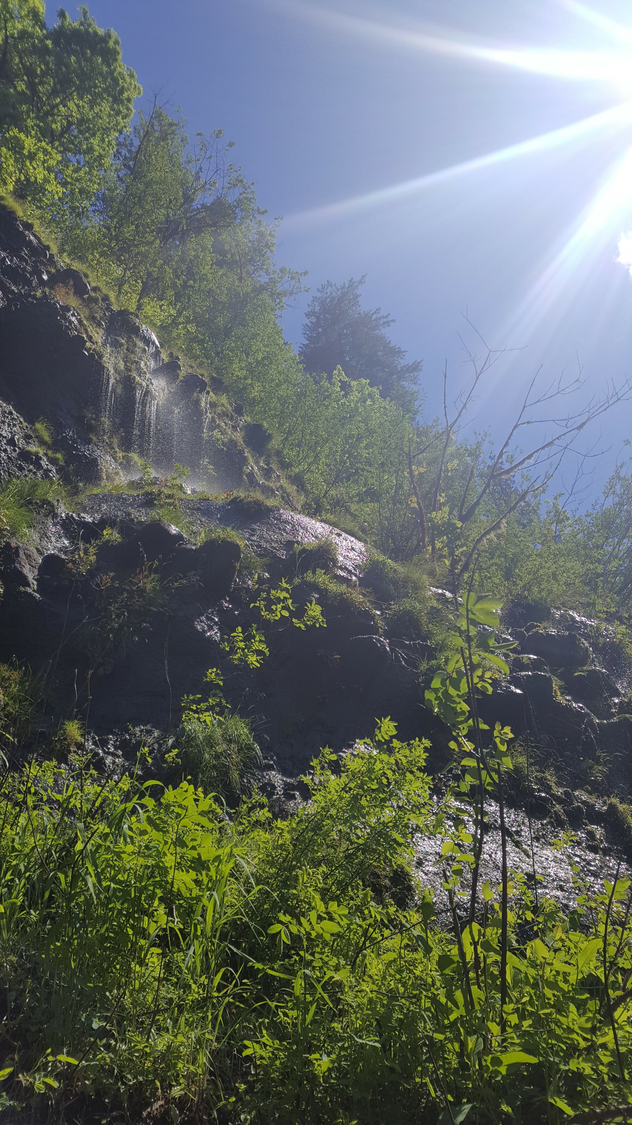 20170520_115758.jpg