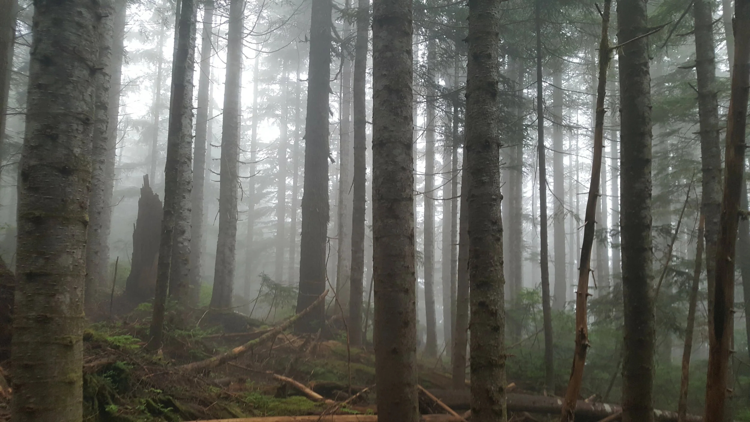 far from the madding crowd.jpg
