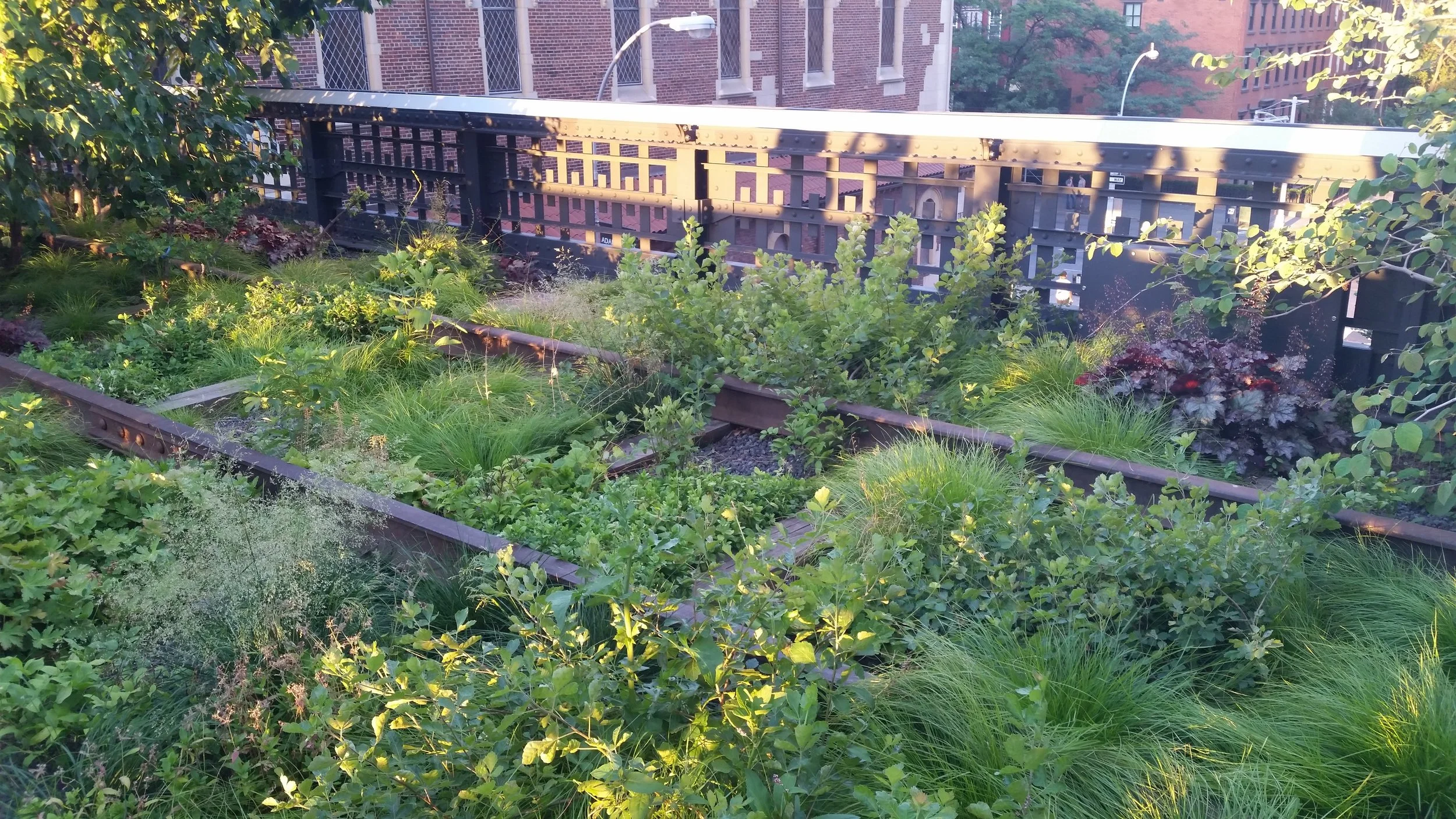 highline.jpg
