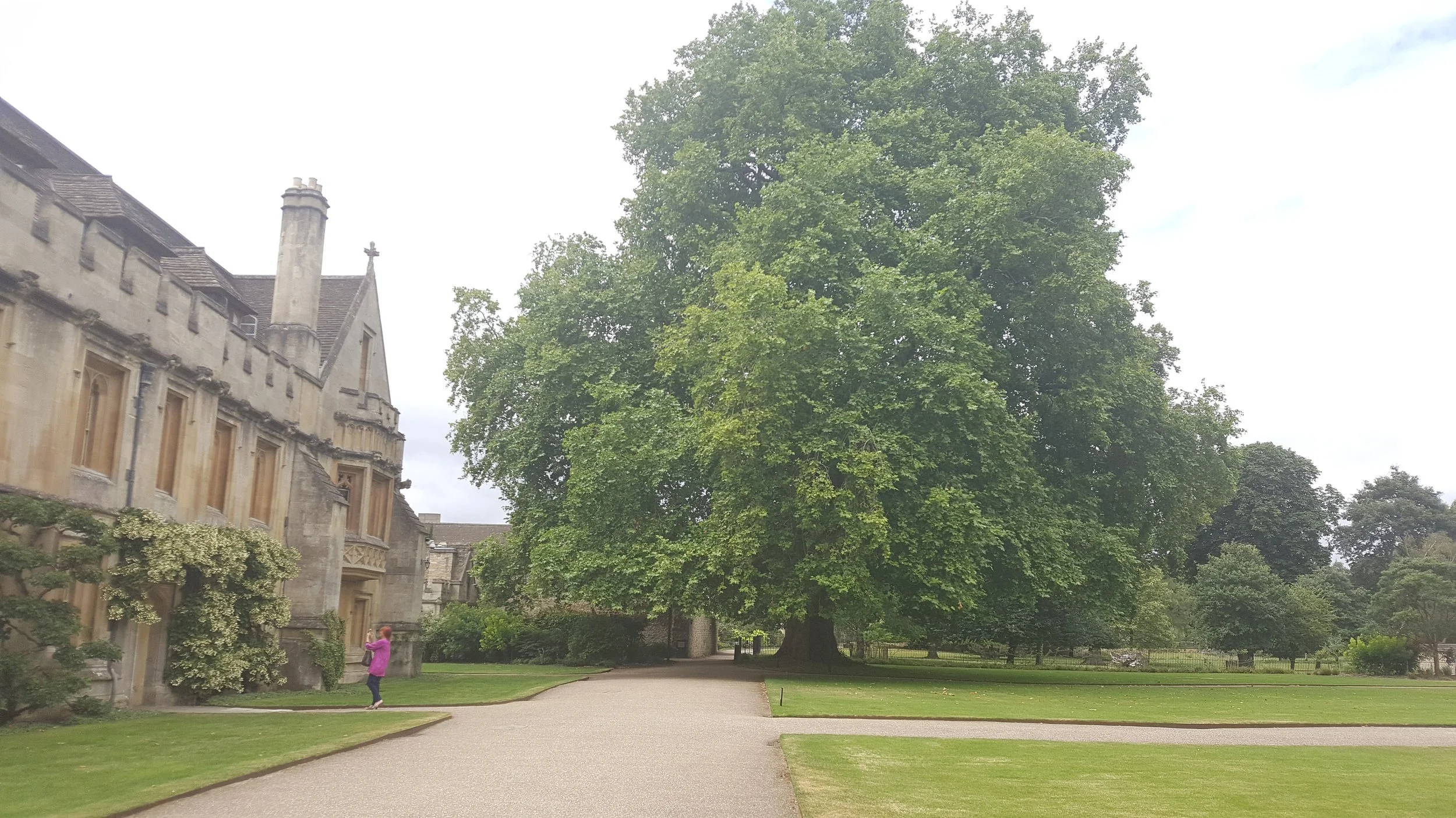 magdalencollege5.jpg