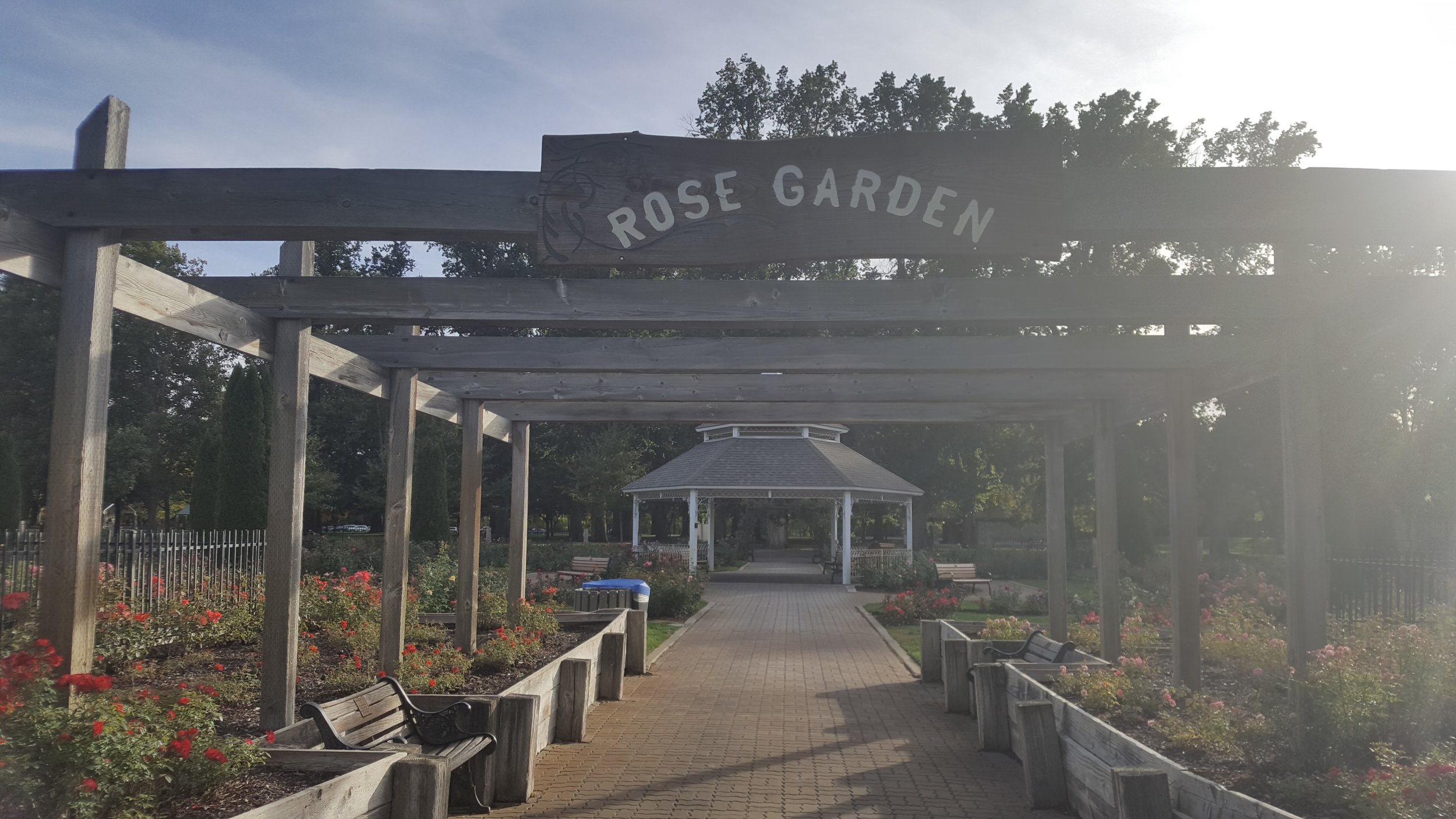 rose garden6.jpg