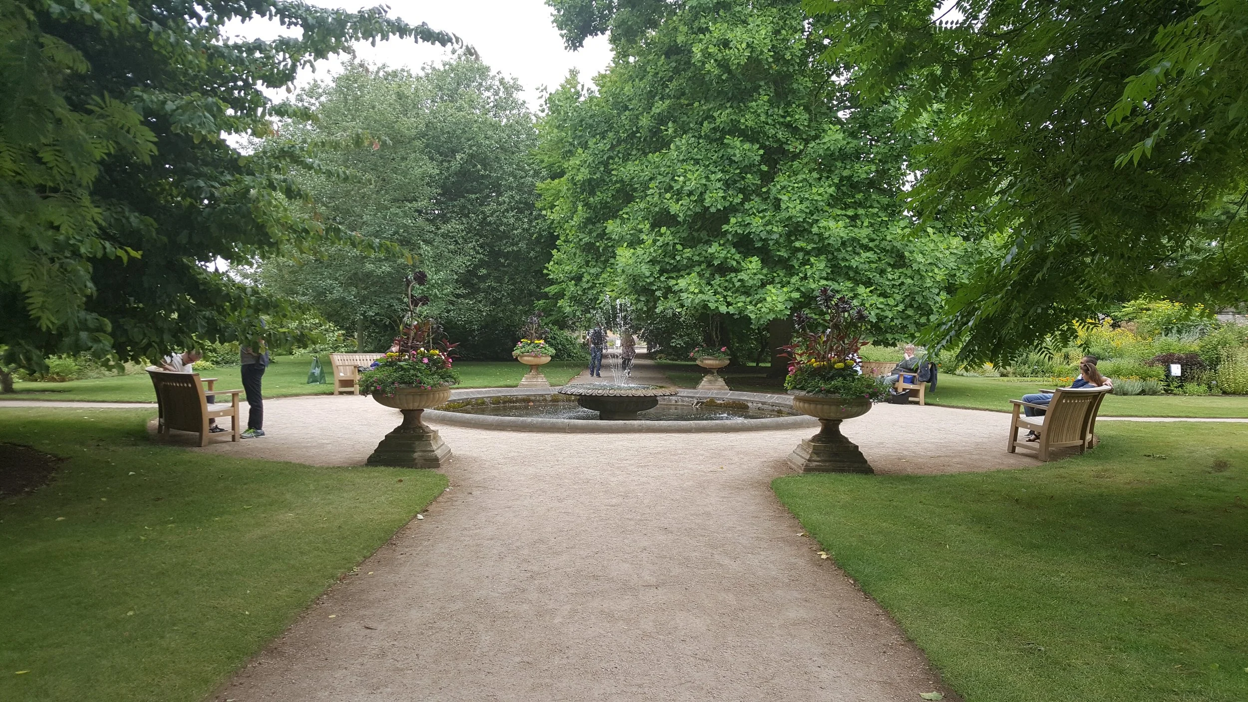 garden.jpg