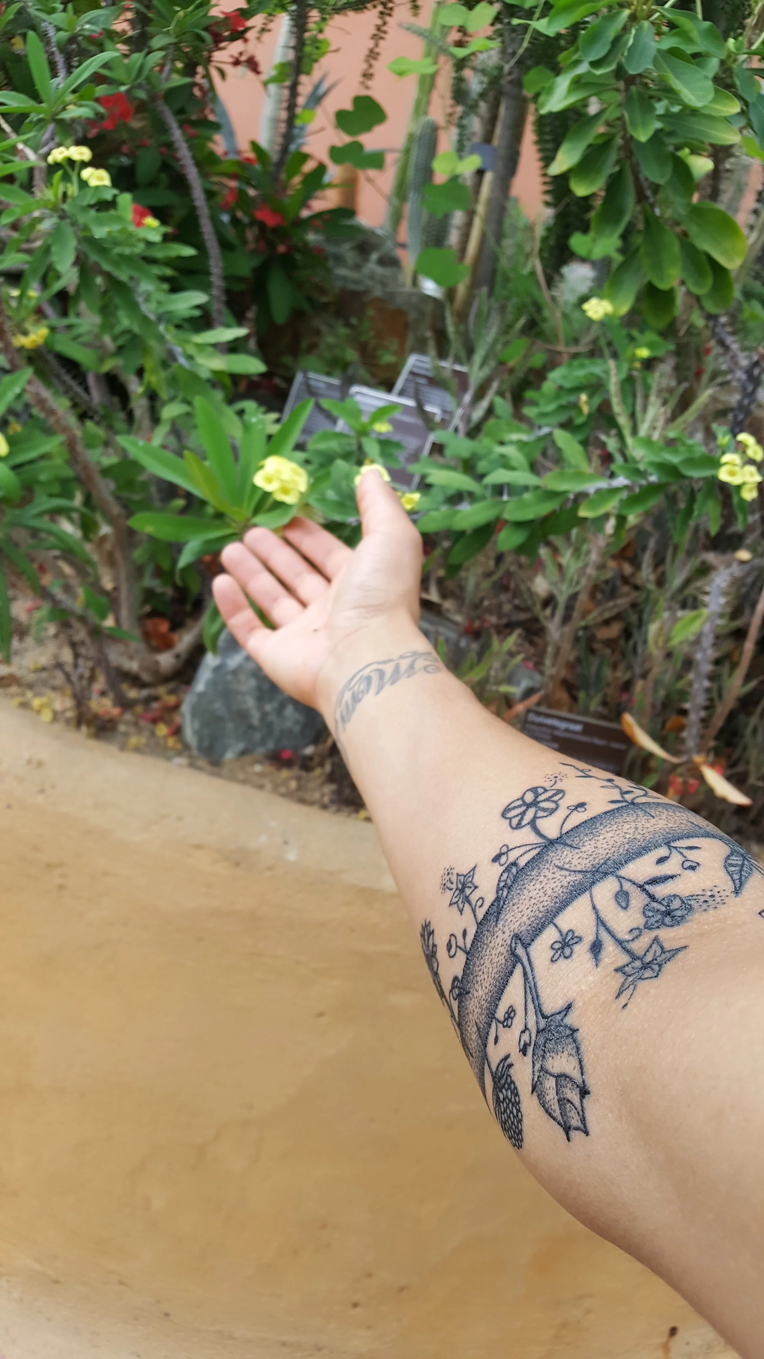 amsterdam tattoo.jpg