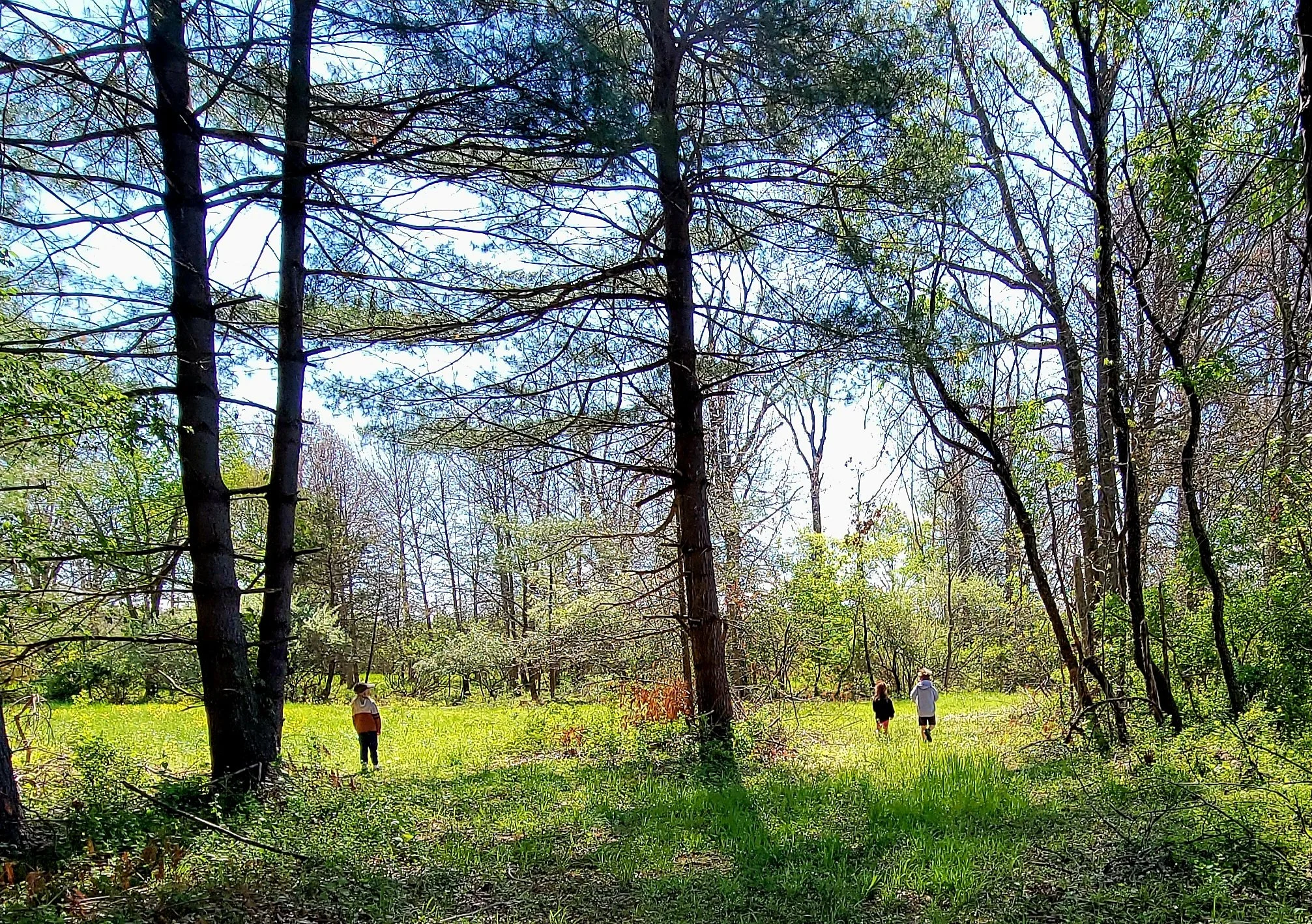 20260501_102230.jpg
