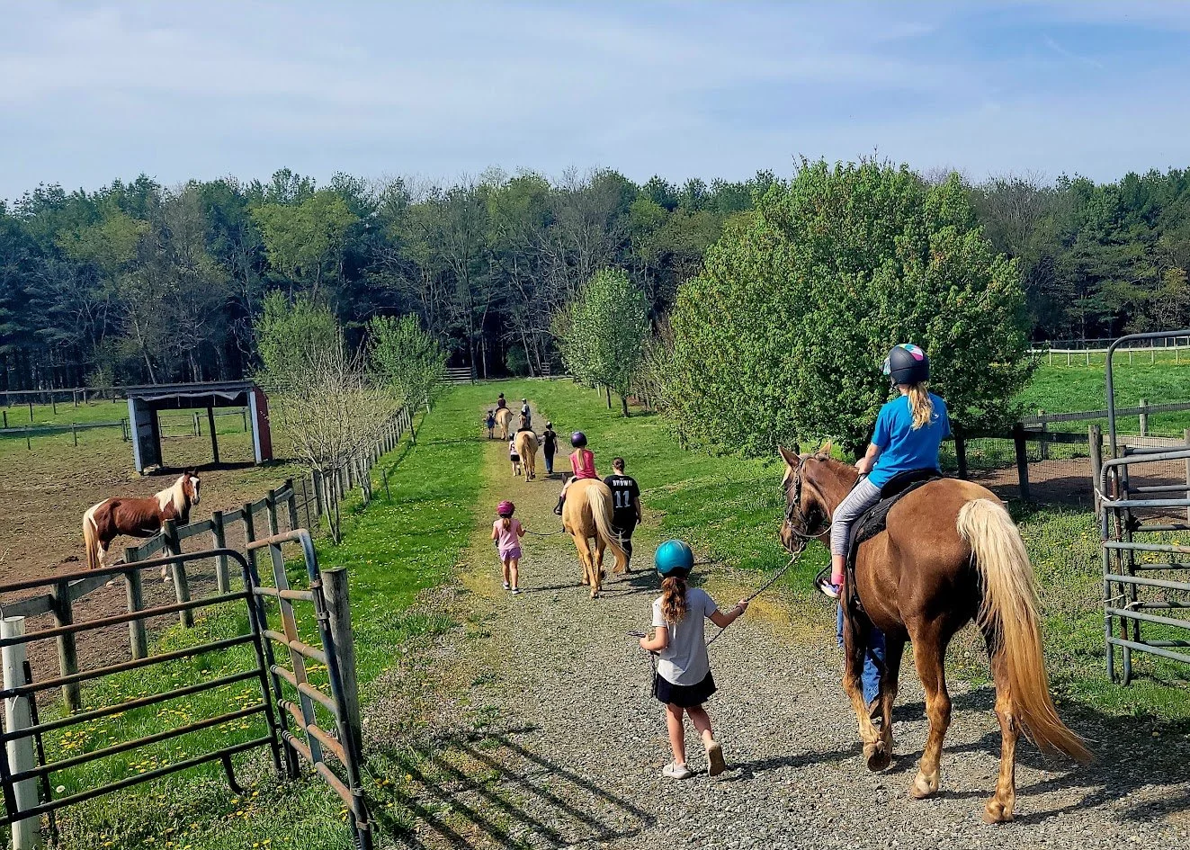 Fun E Farm Photo registration..jpg