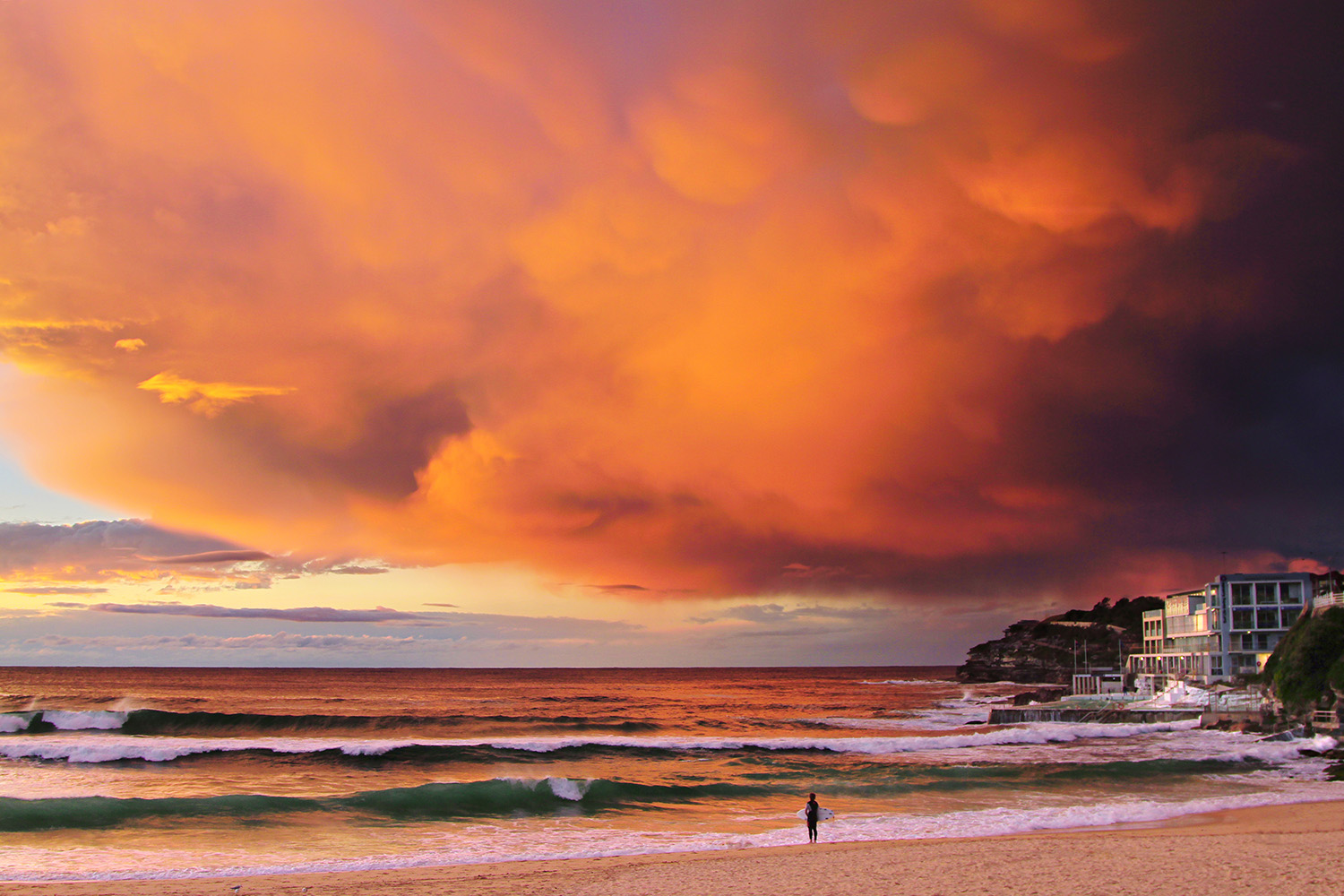 Bondi_Beach.jpg