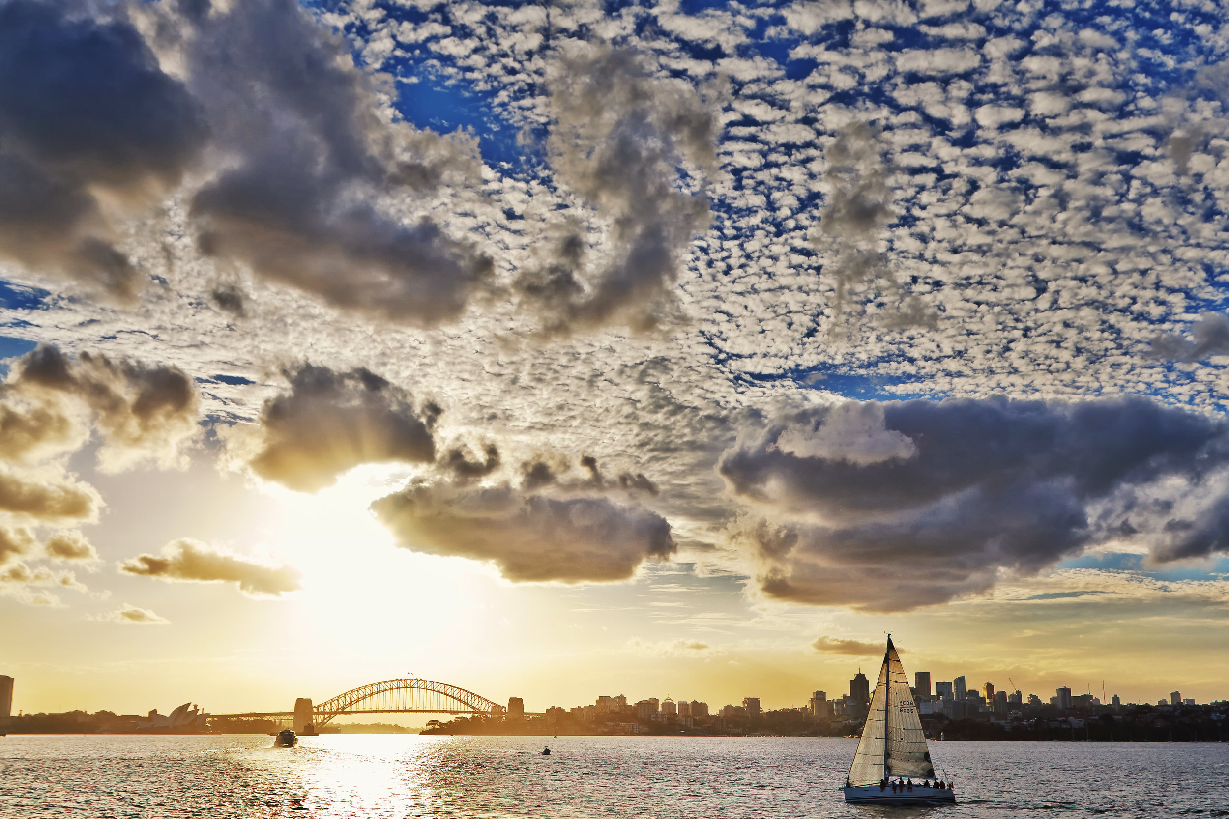 Sailing Sydney FINAL.jpg