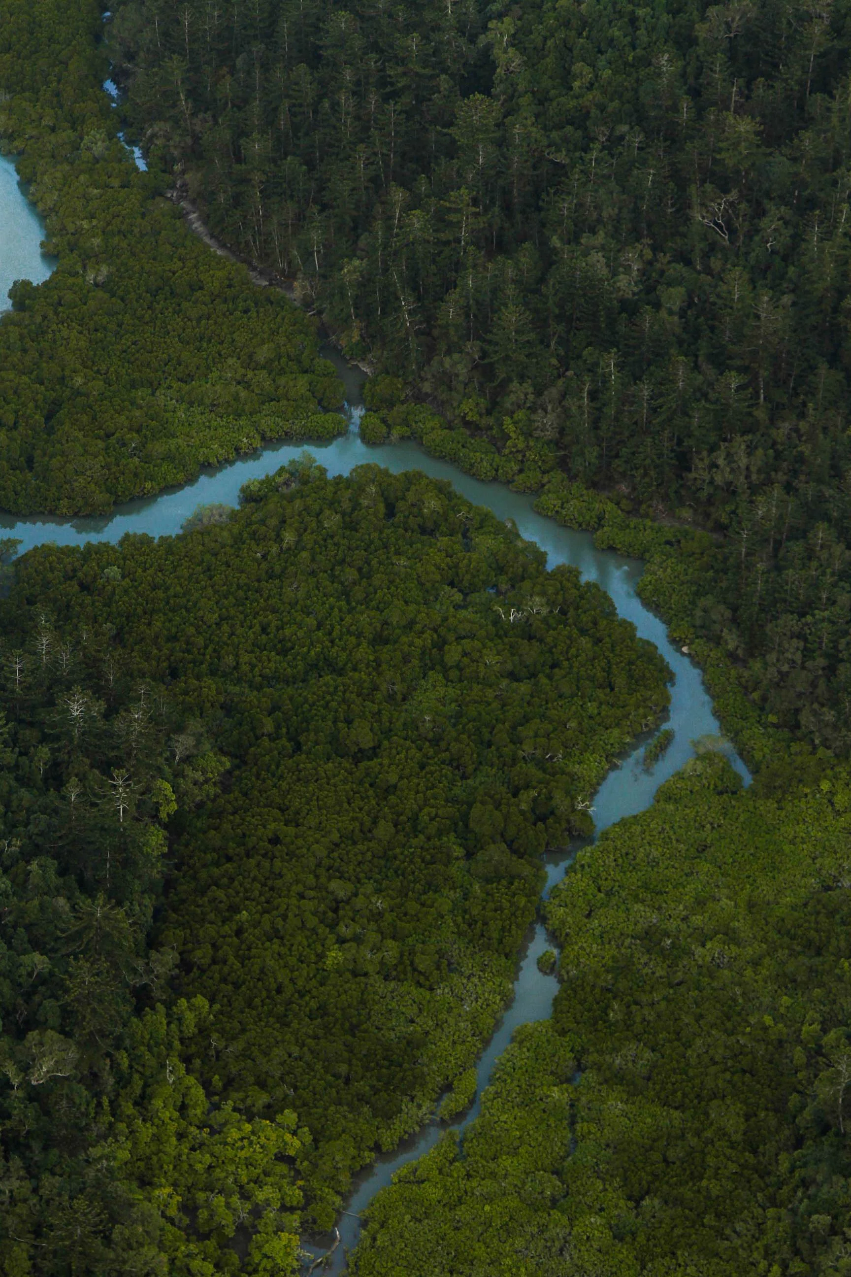 Tidal River.jpg