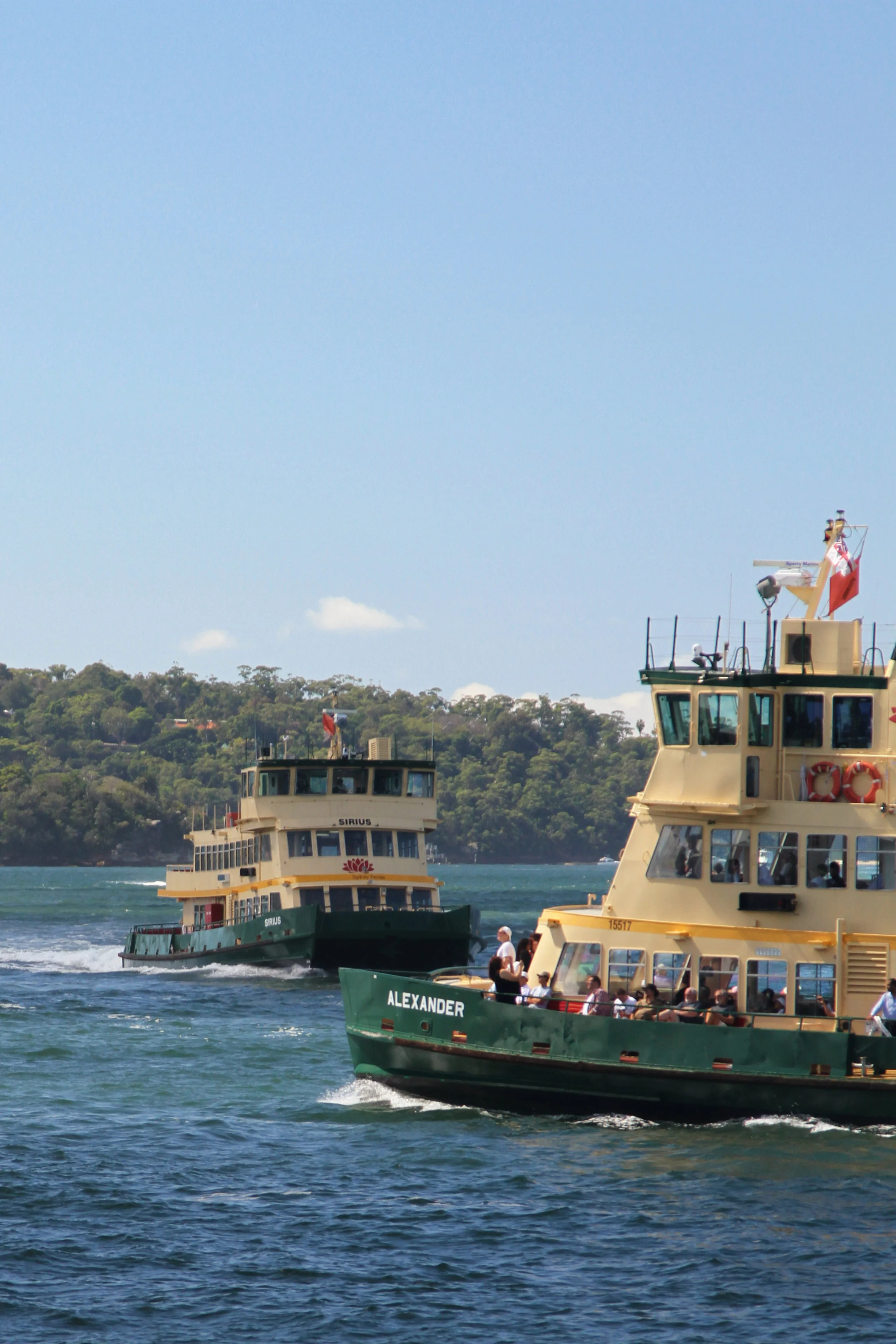 Sydney_Ferries_FINAL.jpg