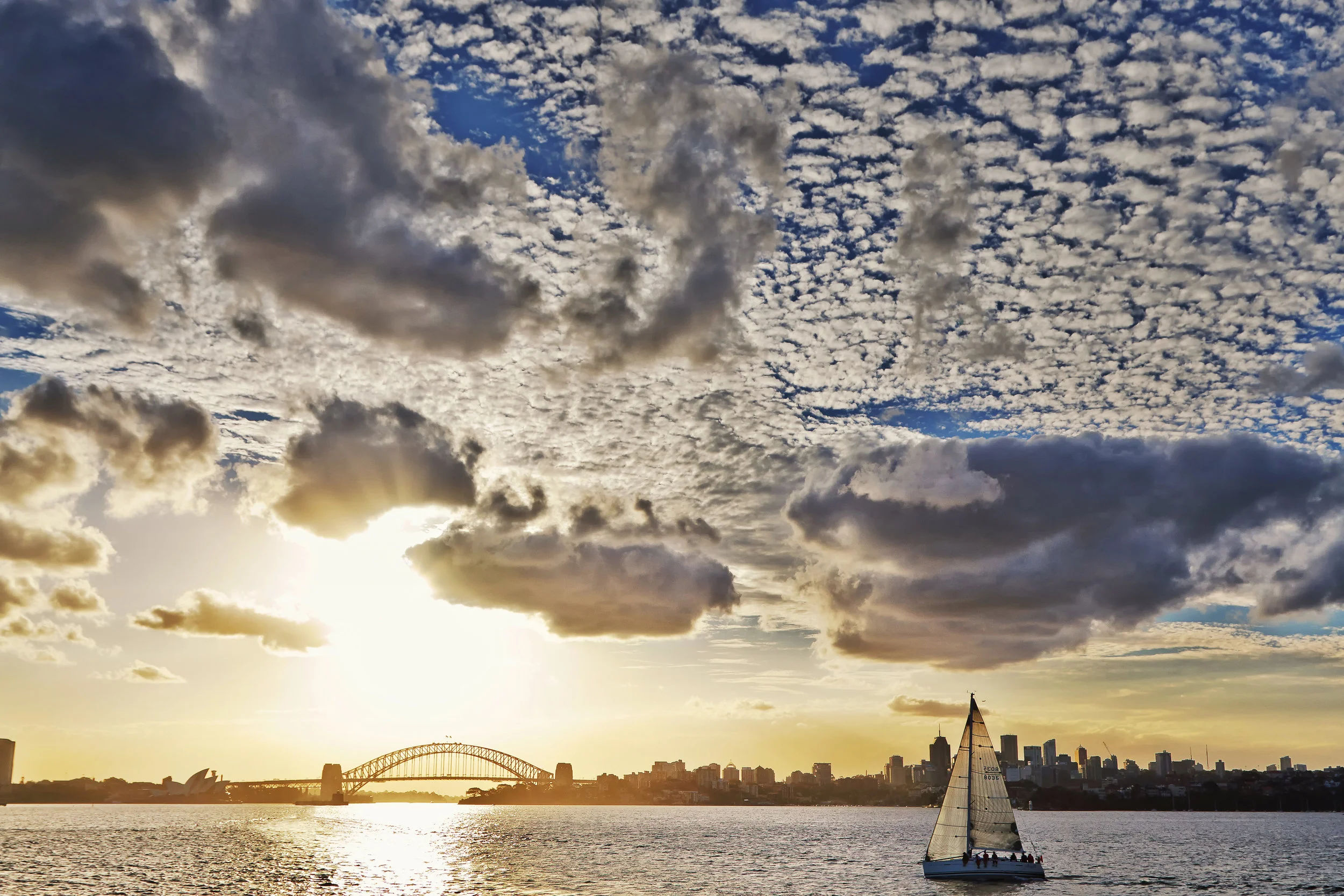 Sailing_Sydney_FINAL.jpg