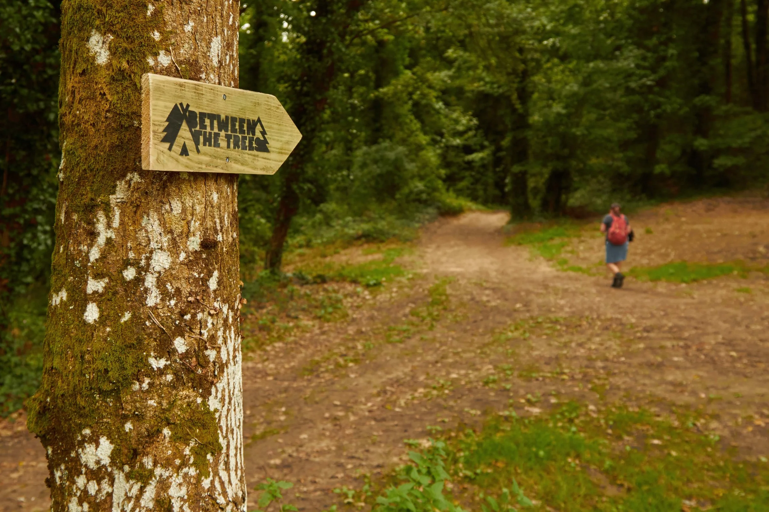 02_BTT_Entrance .jpg