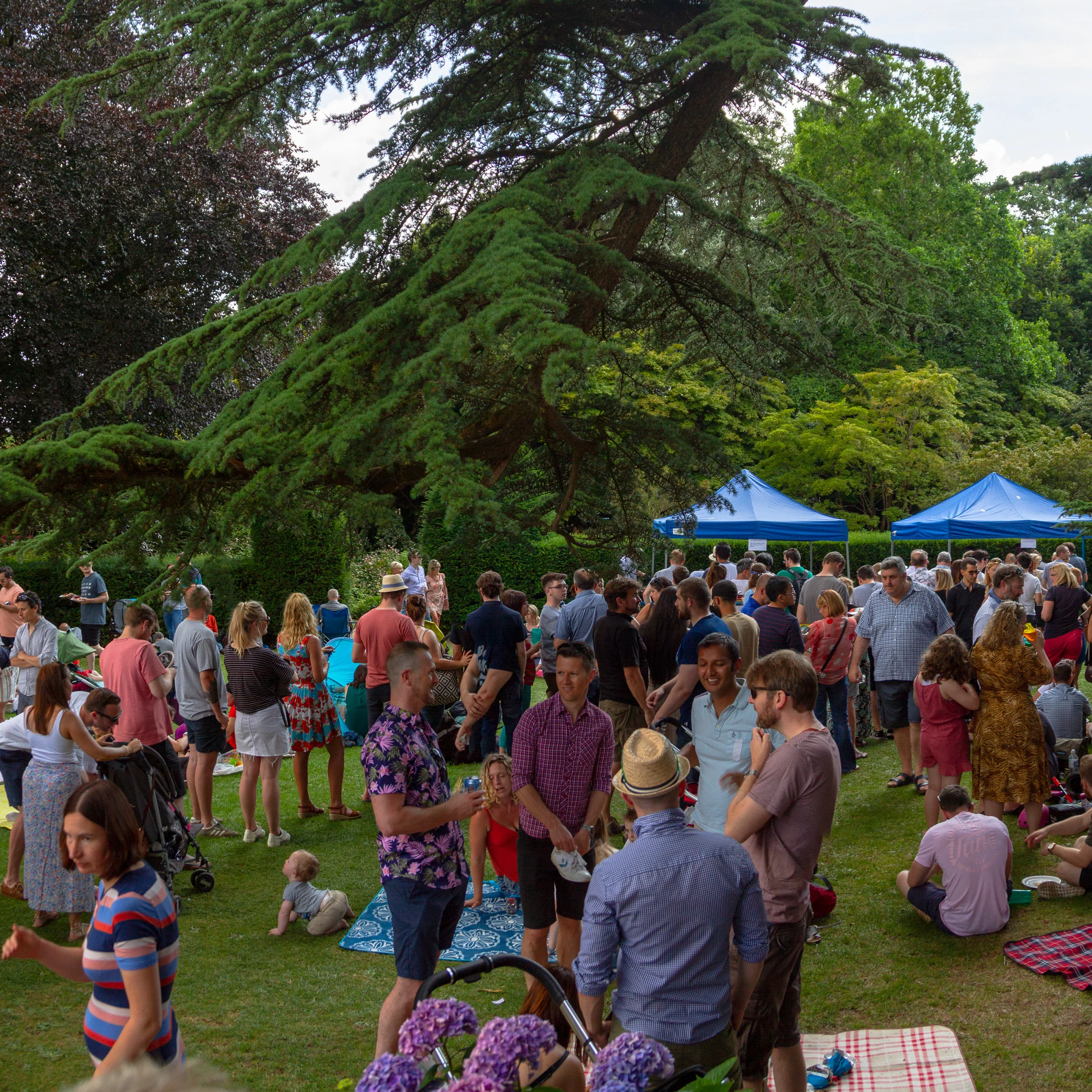 19.07.28_BiTE_0121-Pano.jpg