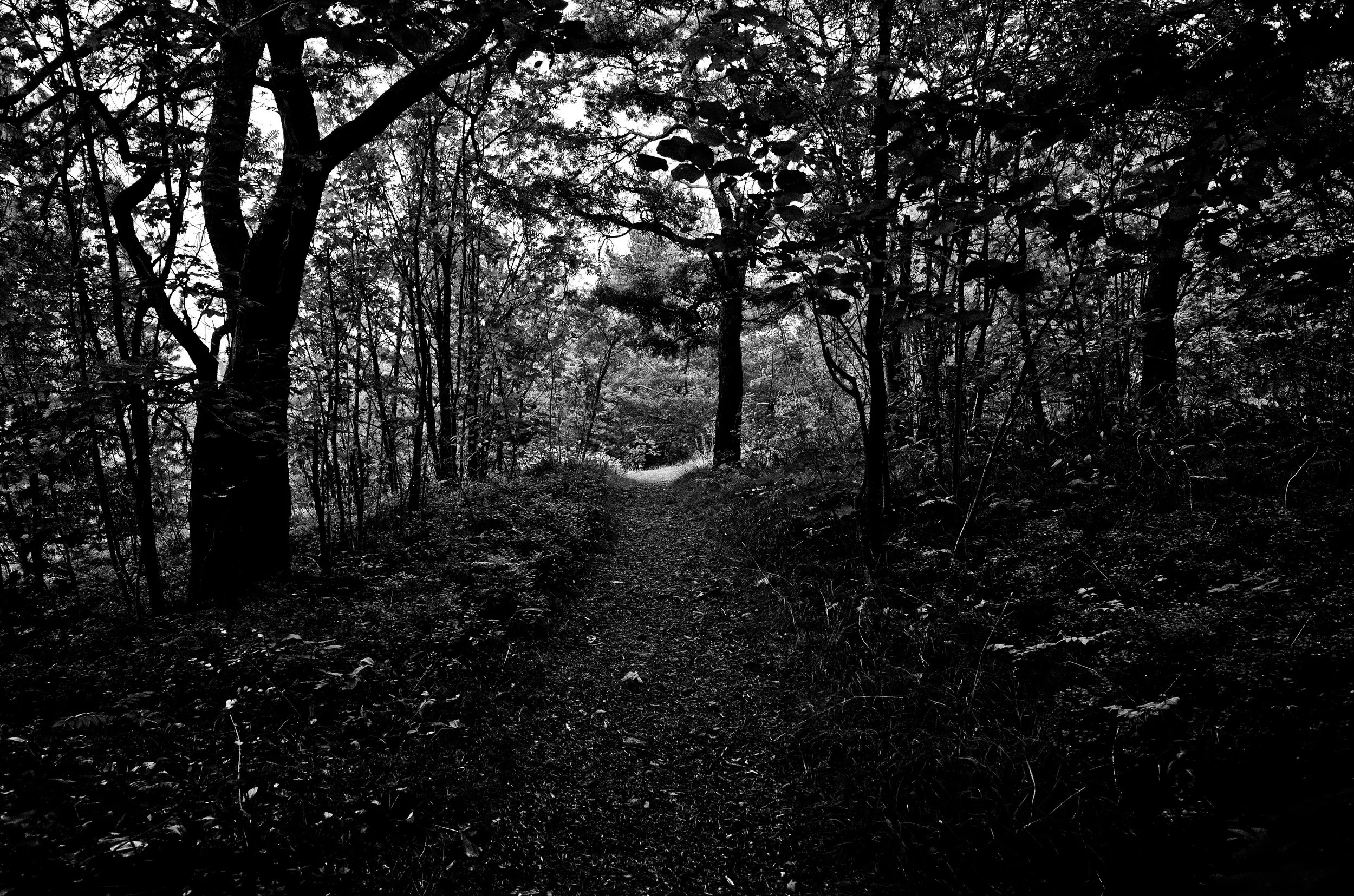 OSLO-BW-WOLFJAMES (120 of 223)web.jpg