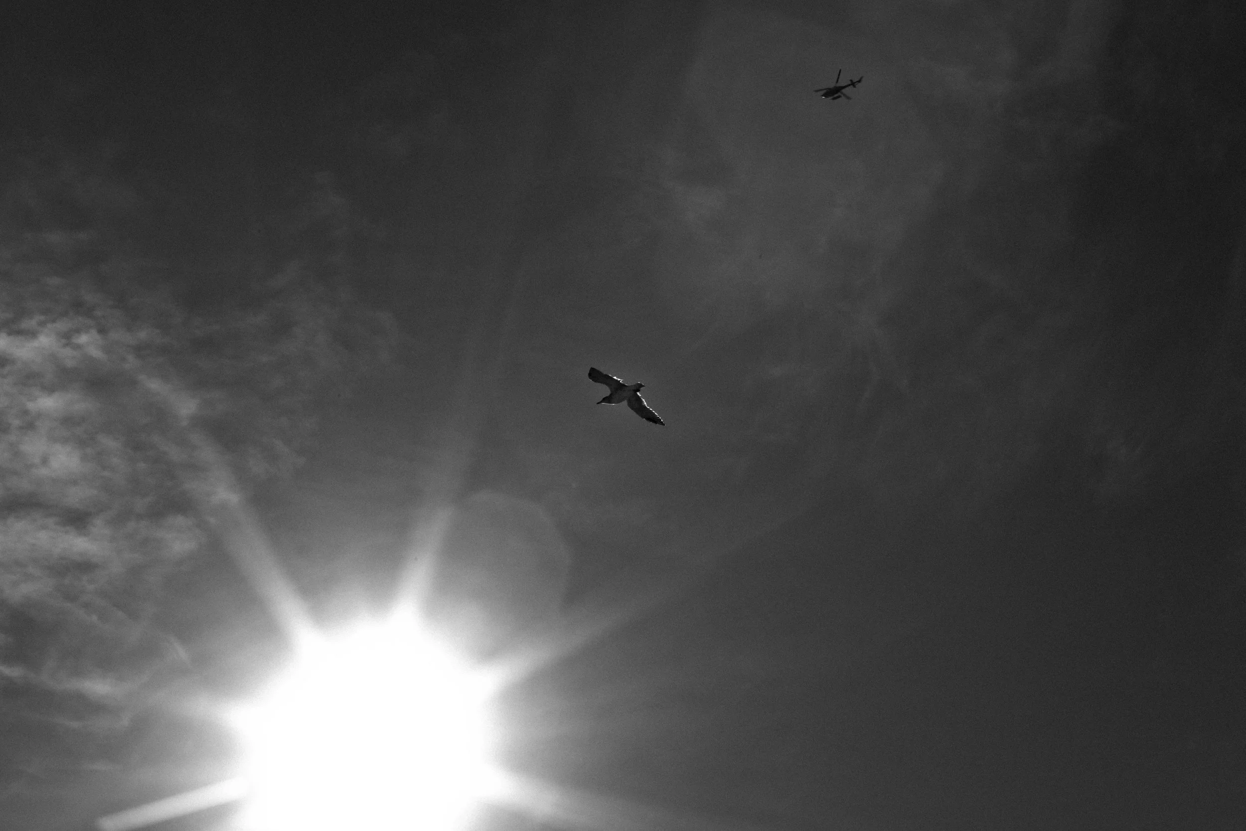OSLO-BW-WOLFJAMES (197 of 223).jpg