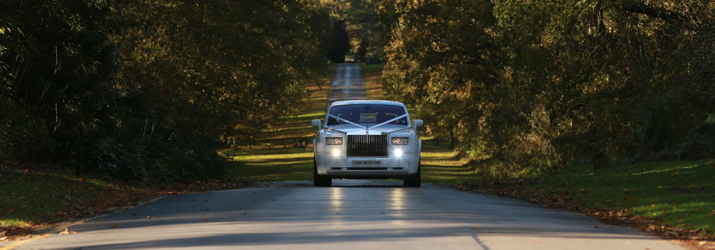The avenue of trees is a favourite location for group photographs and for some romantic images too!