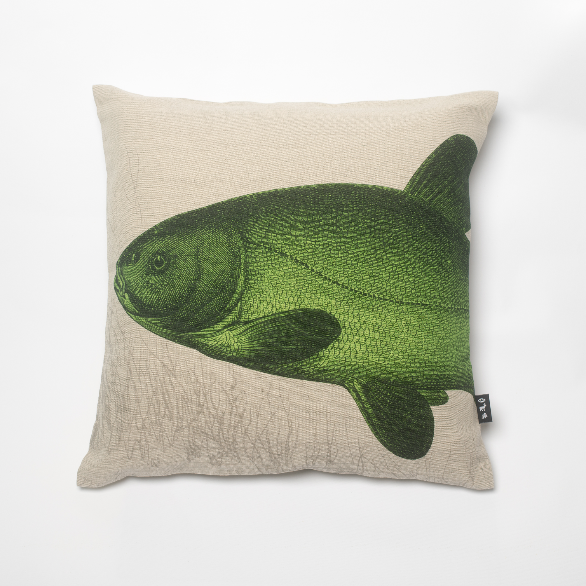 tench_plain.png