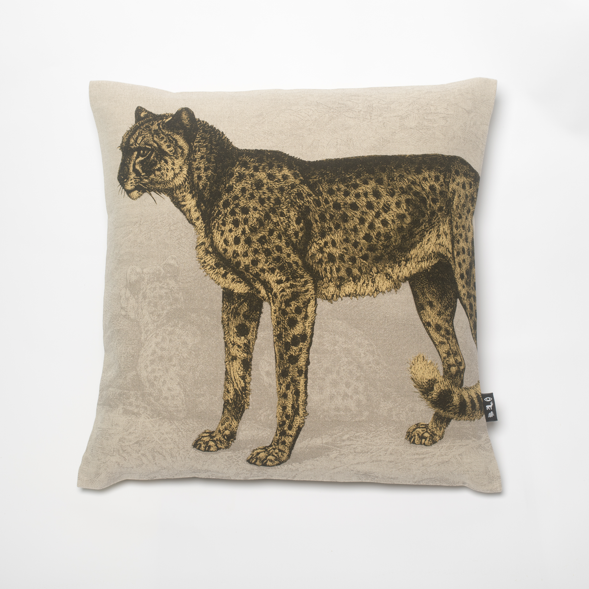leopard_plain.png