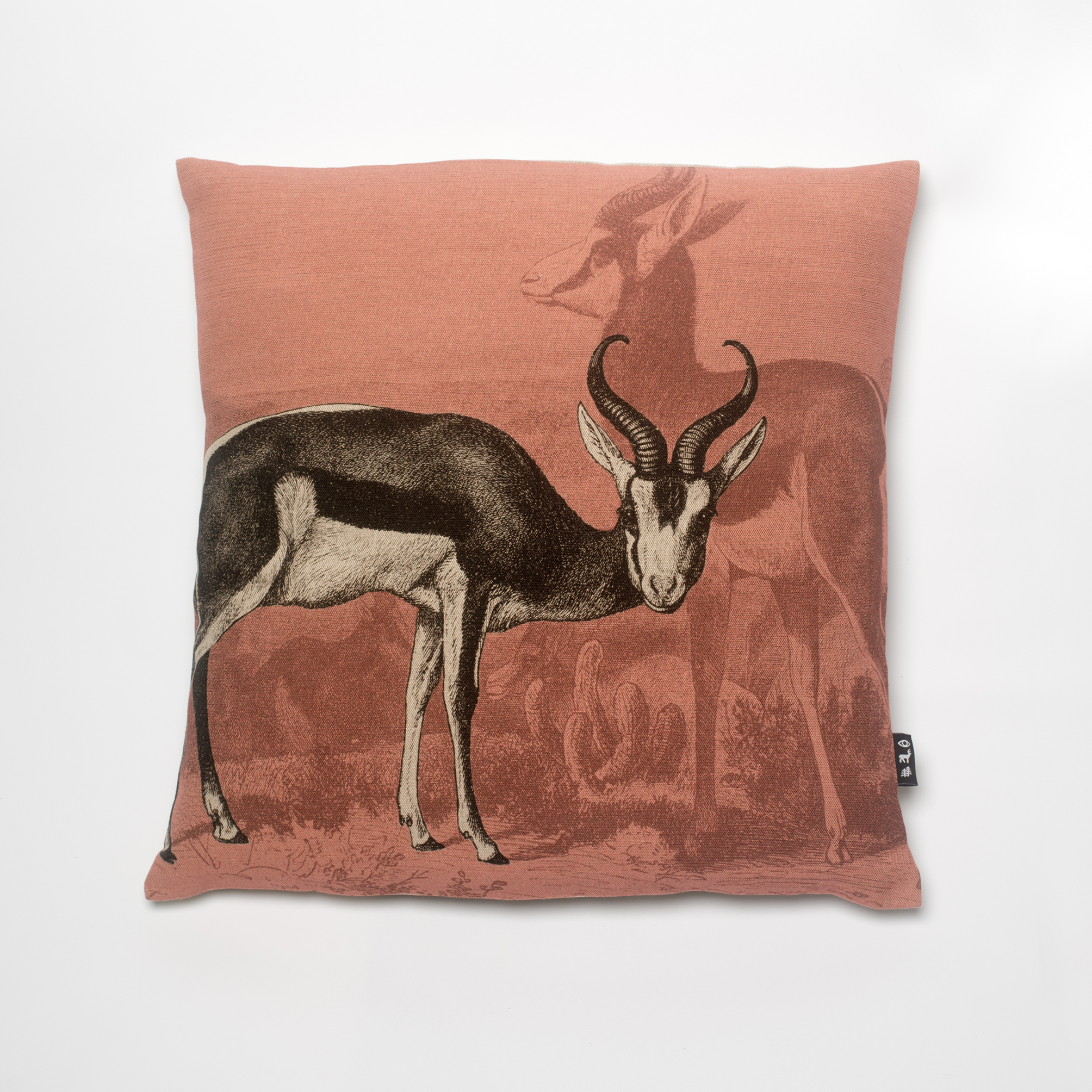 springbok_colour.png