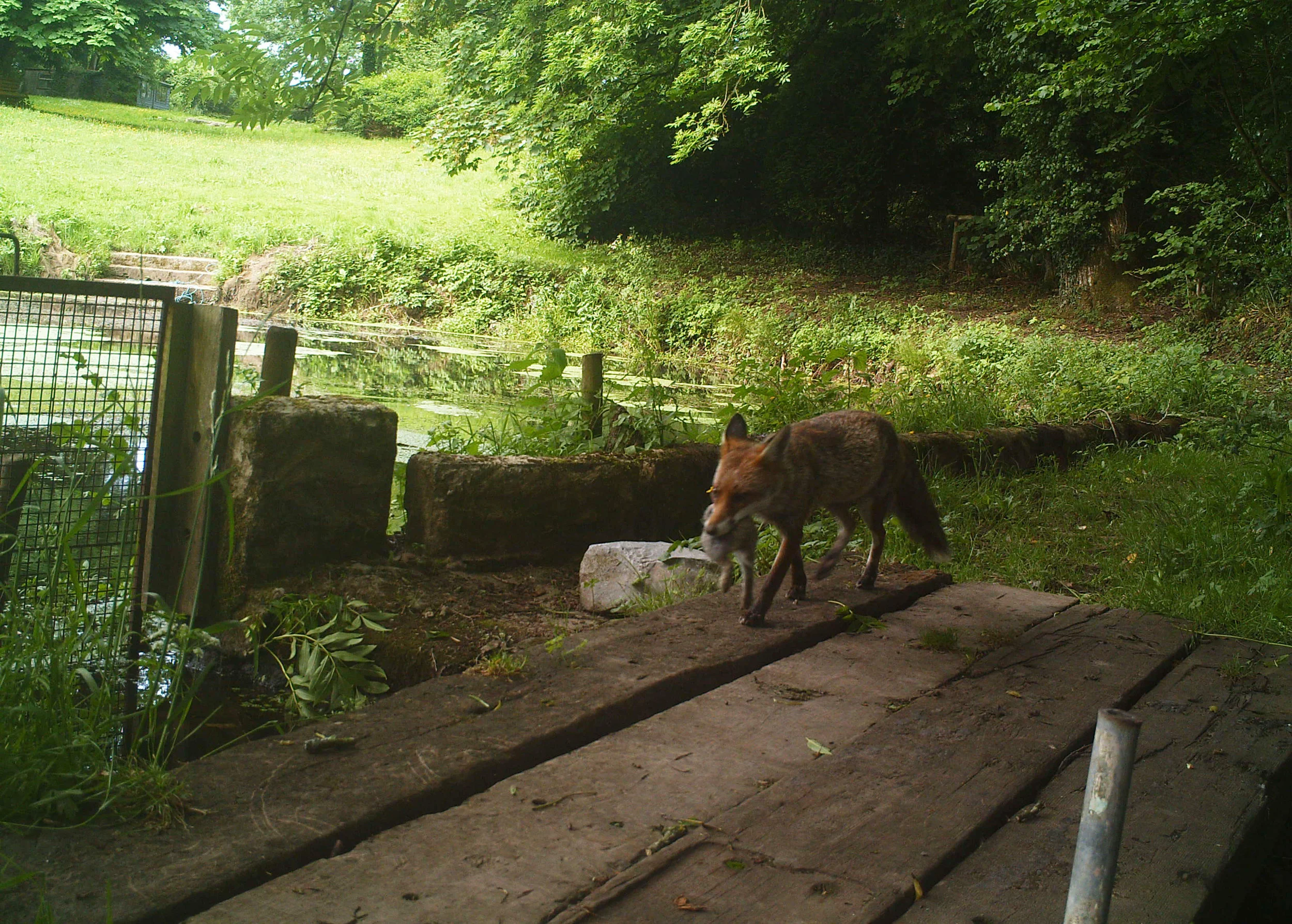 Tales from the Bridge No.1