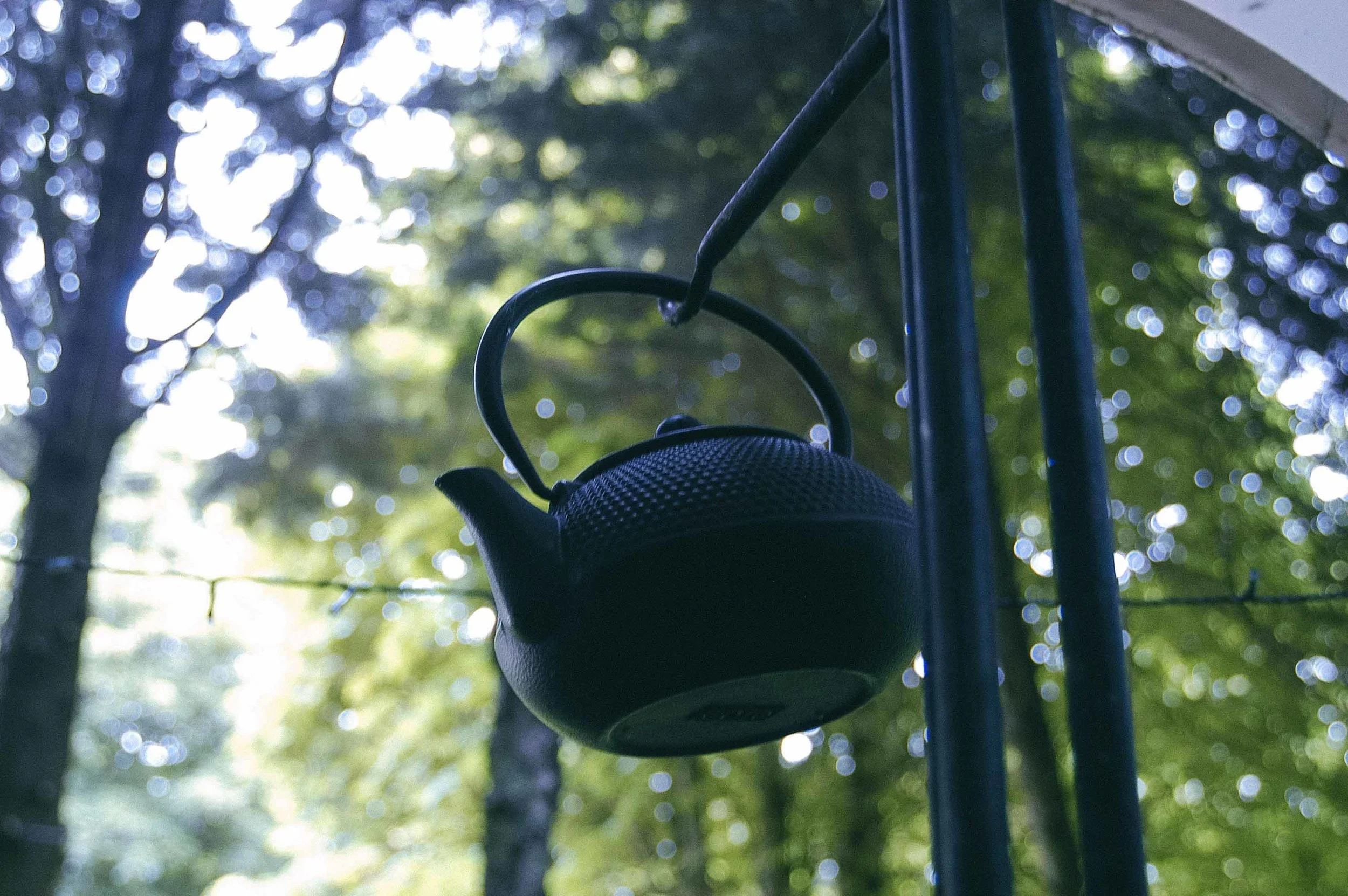 DSC_0182.jpg