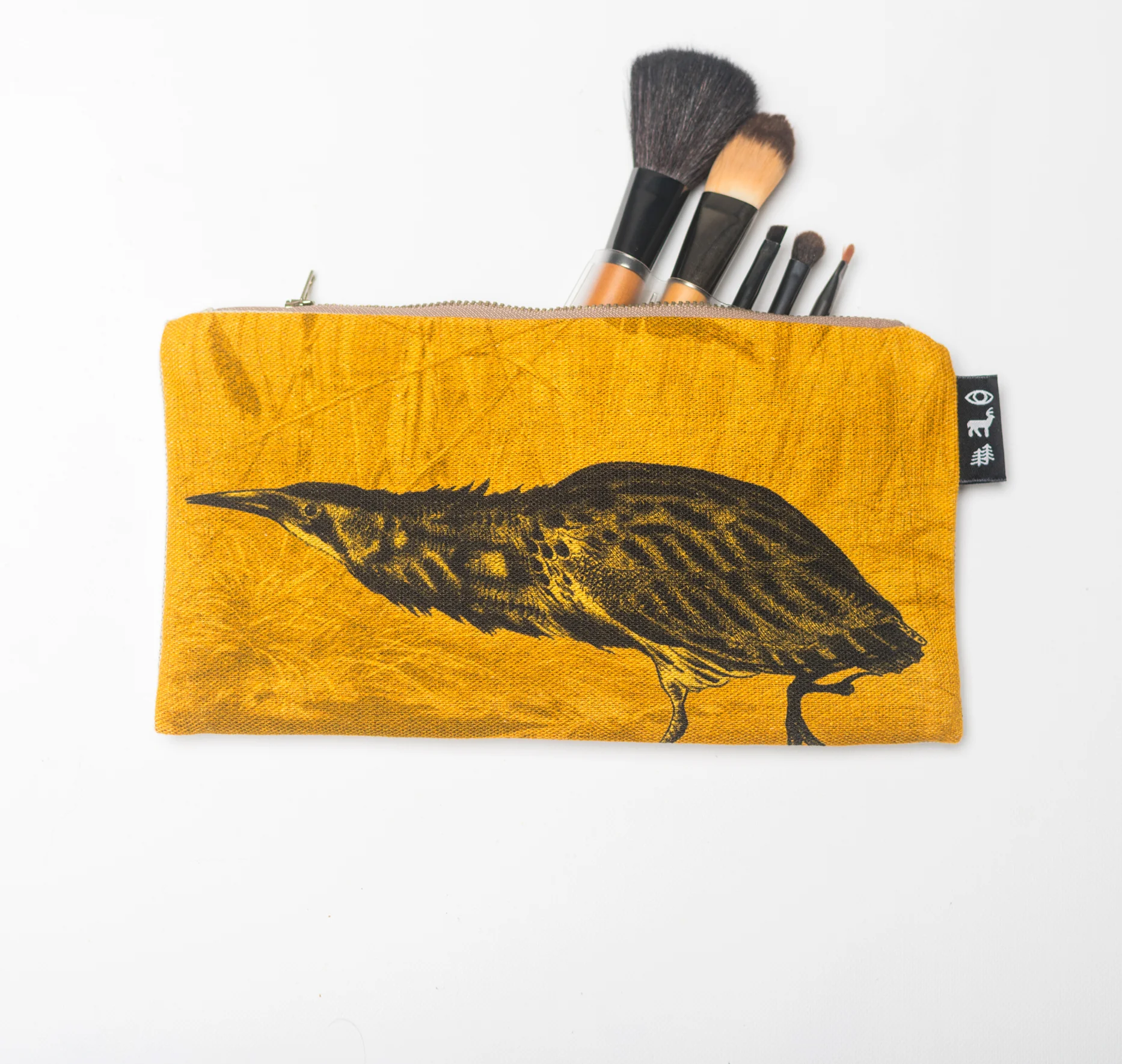 bittern_brushes.jpg