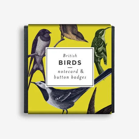 British Birds Tiny Giftbox