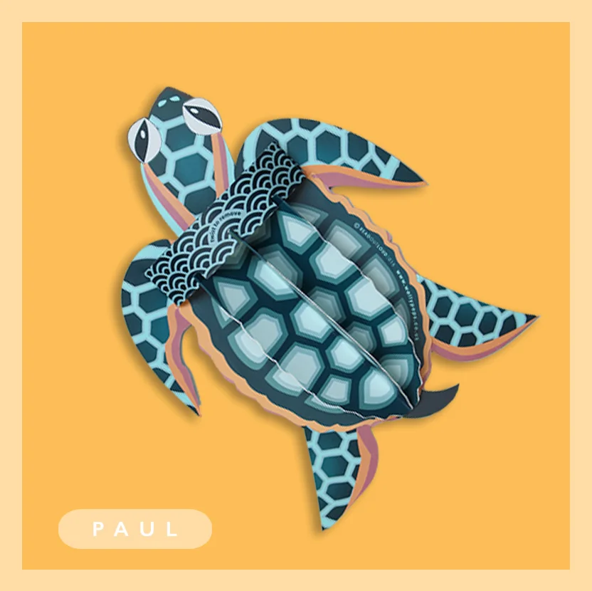 PAUL-TURTLE-POP-UP-CARD.jpg