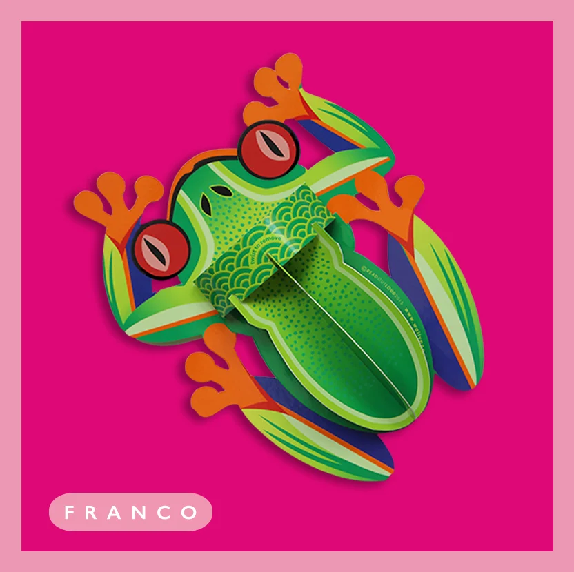 FRANCO-FROG-POP-UP-CARD.jpg
