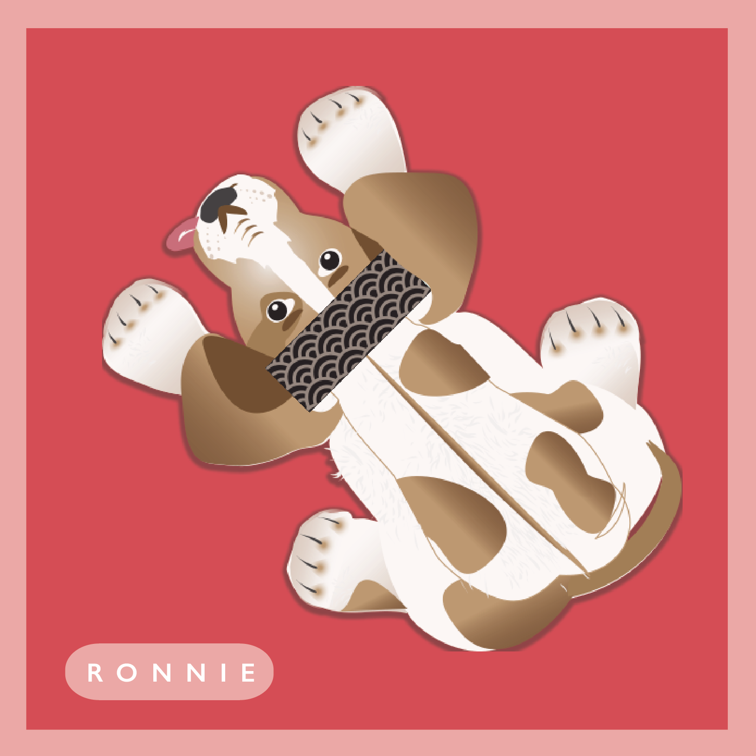 wallypops ronnie.png