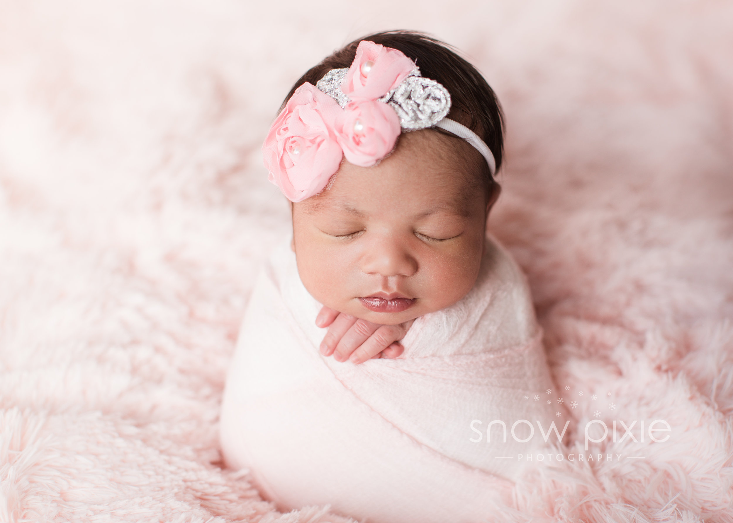 Austin Newborn Photographer / Snow Pixie Photography - 2 week newborn baby