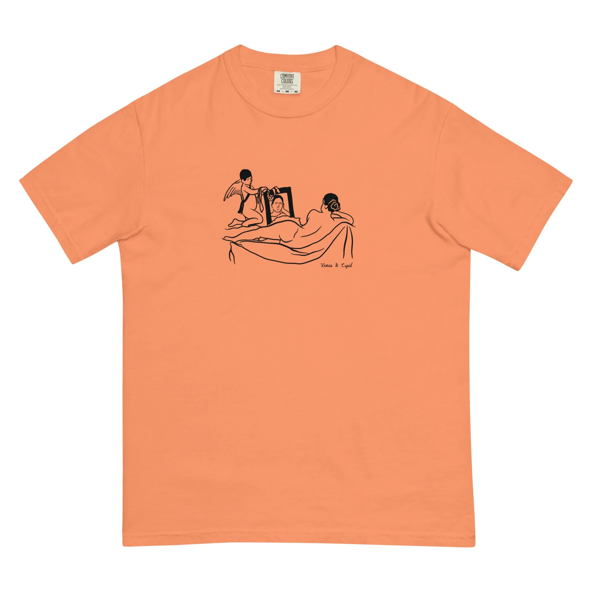 unisex-garment-dyed-heavyweight-t-shirt-terracotta-front-6a8cb3879c5c6.jpg