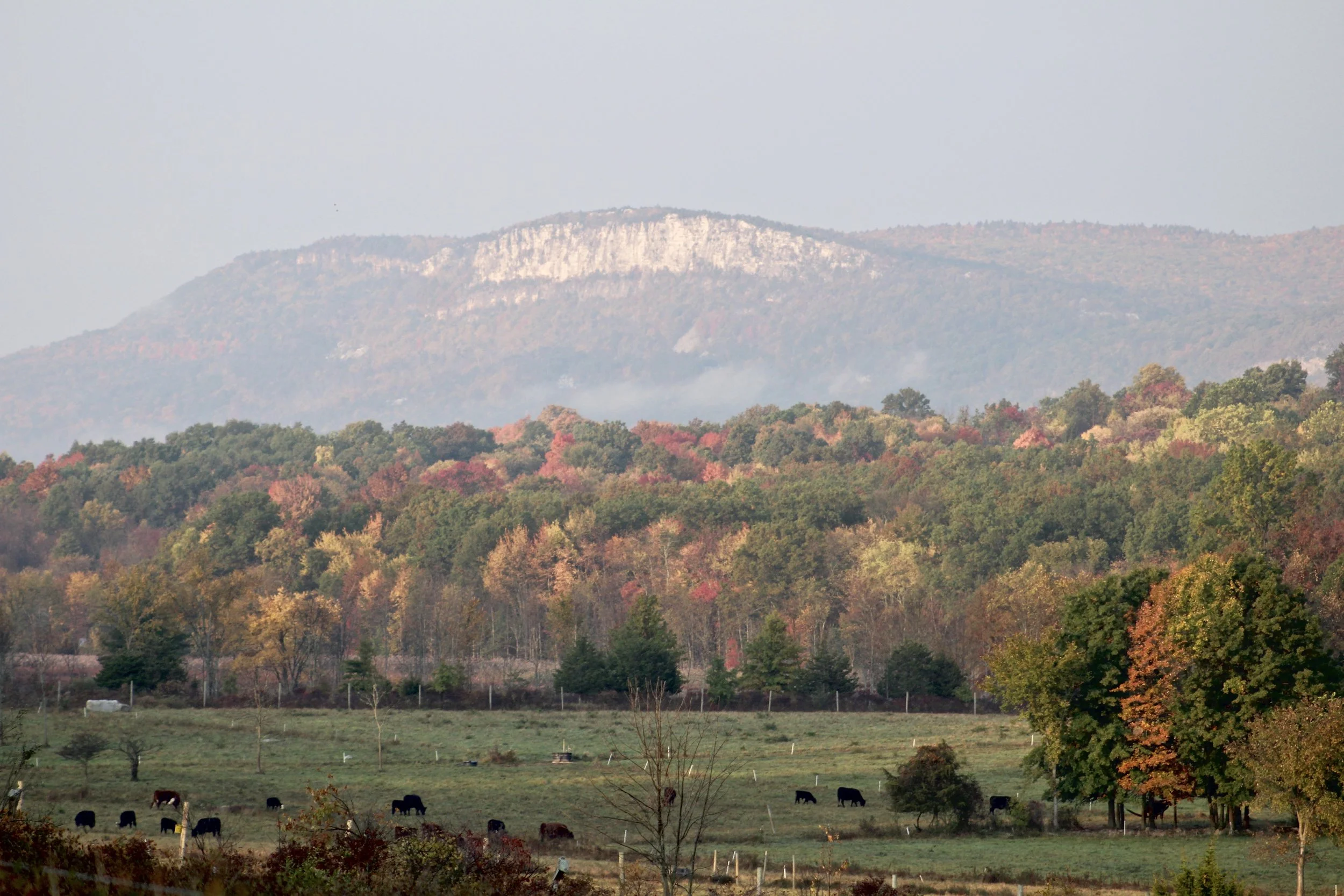View from Butterville Road, Gardiner NY