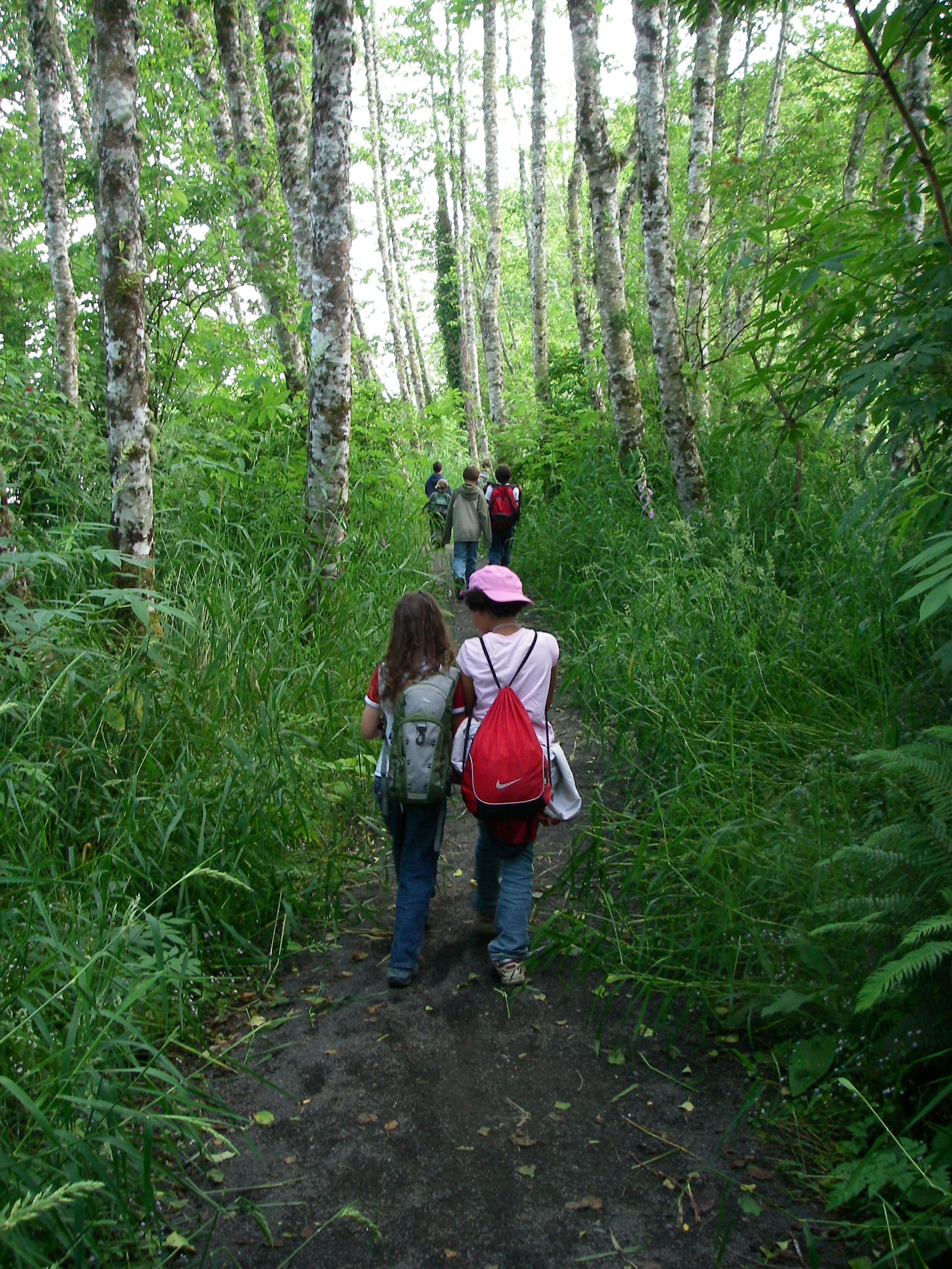 Kids hiking in the woods