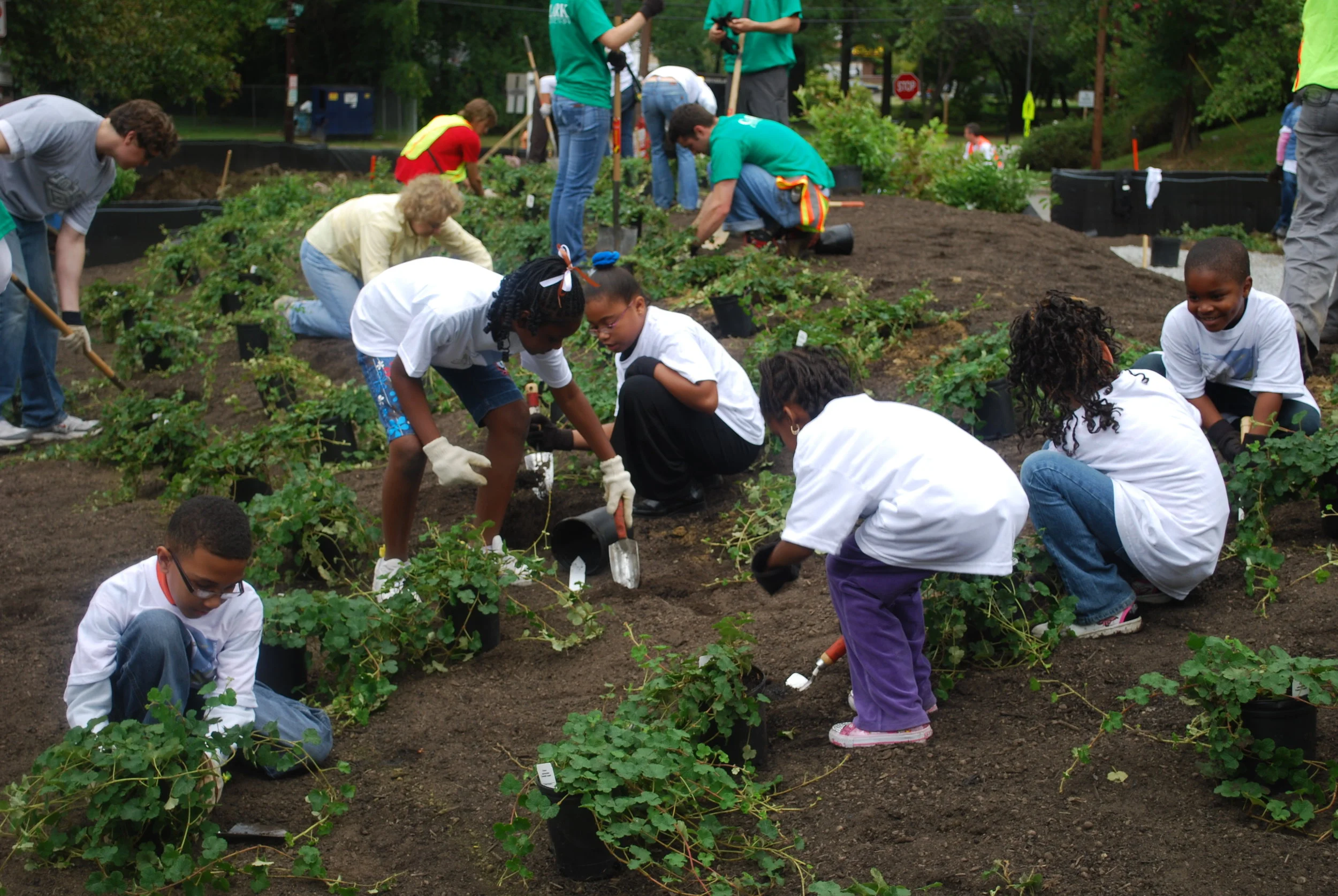 Children participate in urban volunteer work